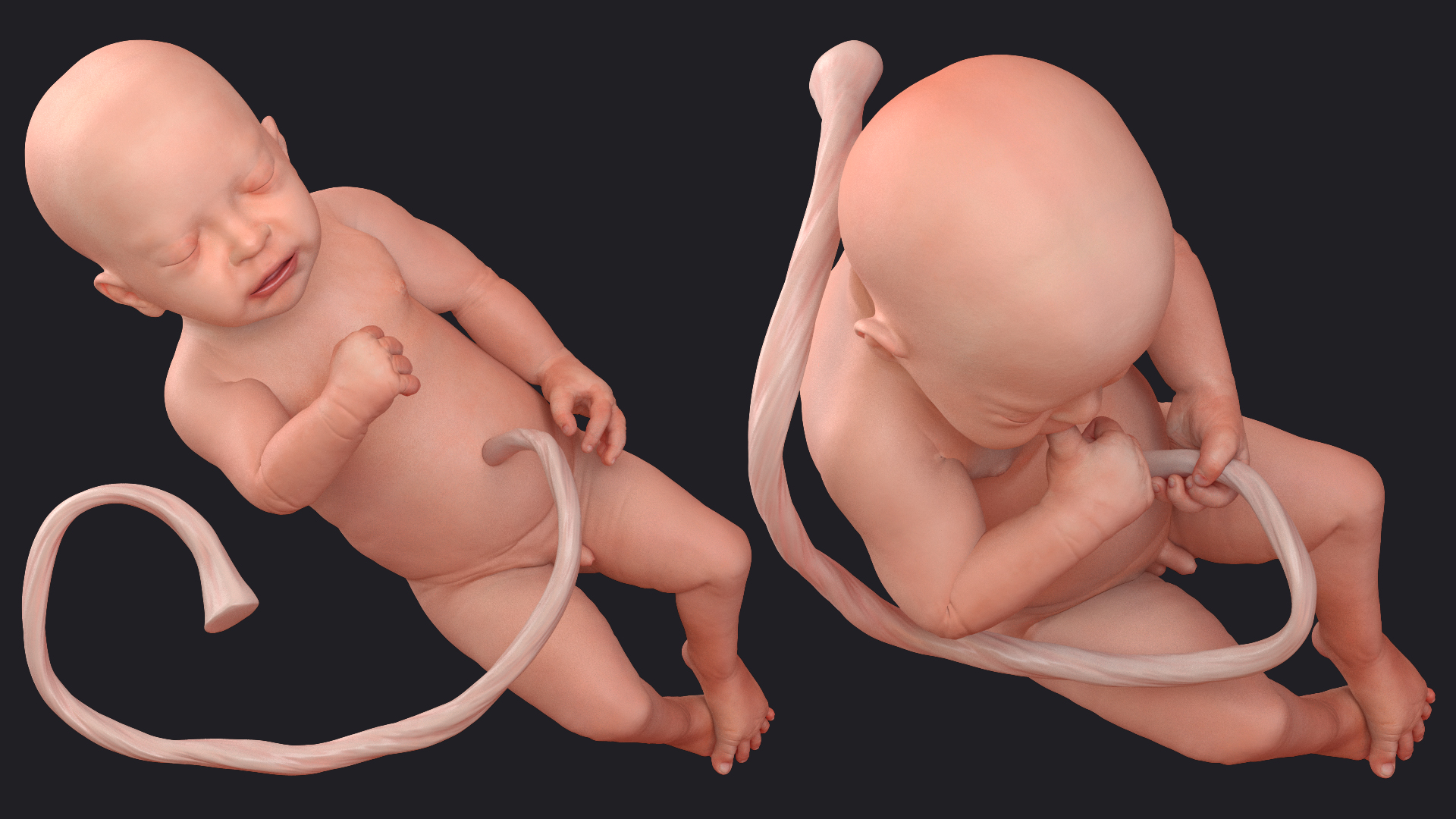 Baby Boy at 32 Weeks Rigged 3D
