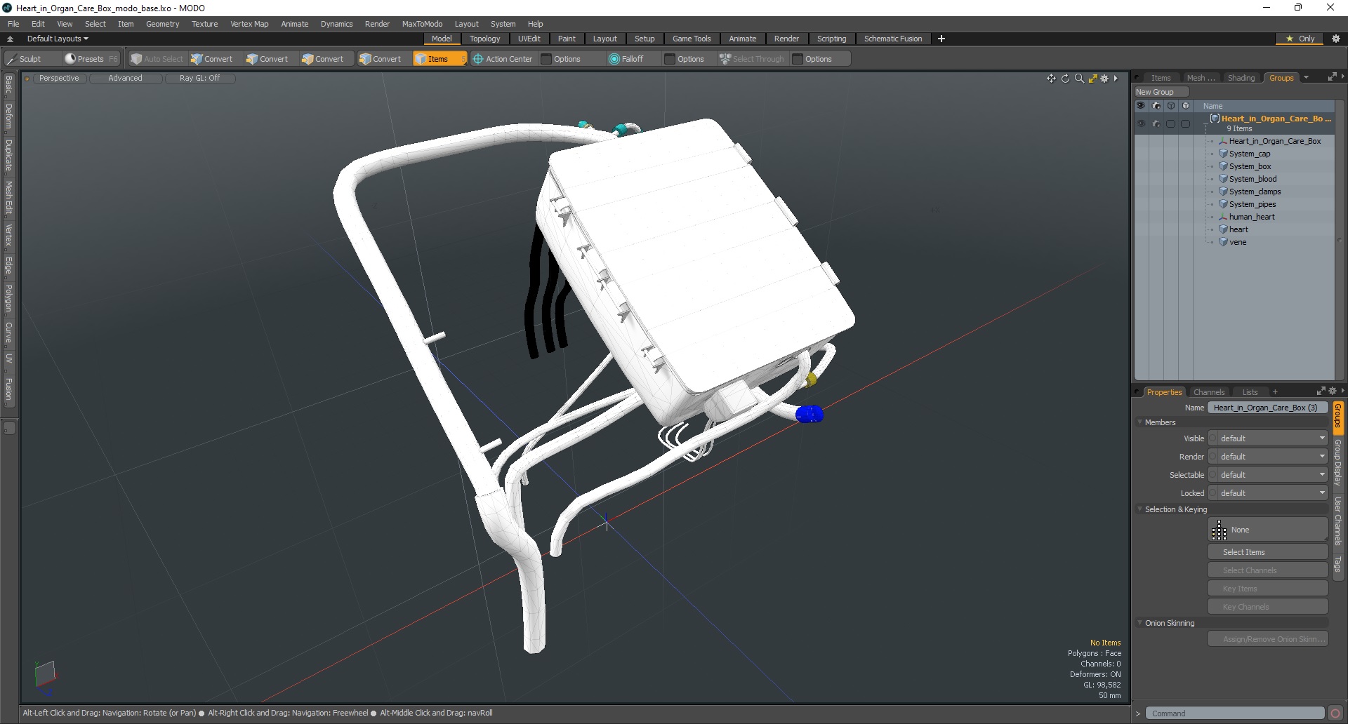 3D Heart in Organ Care Box model
