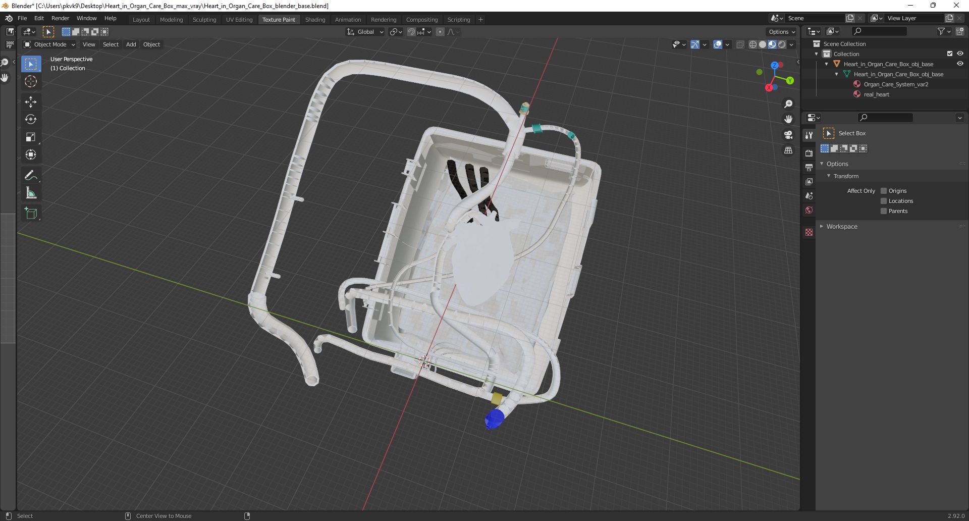 3D Heart in Organ Care Box model