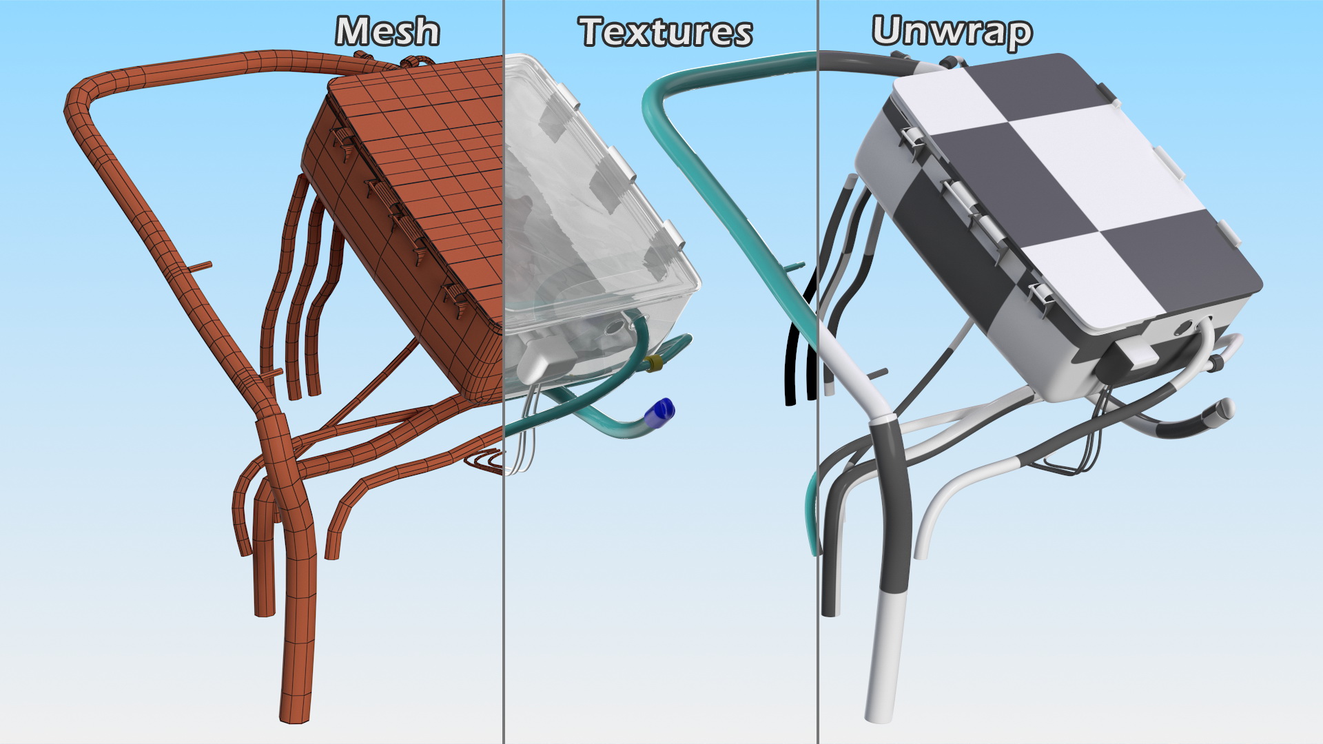 3D Heart in Organ Care Box model