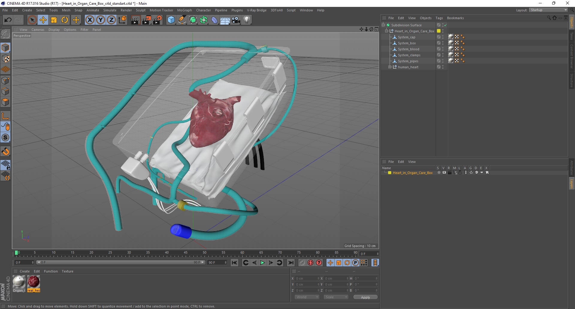 3D Heart in Organ Care Box model