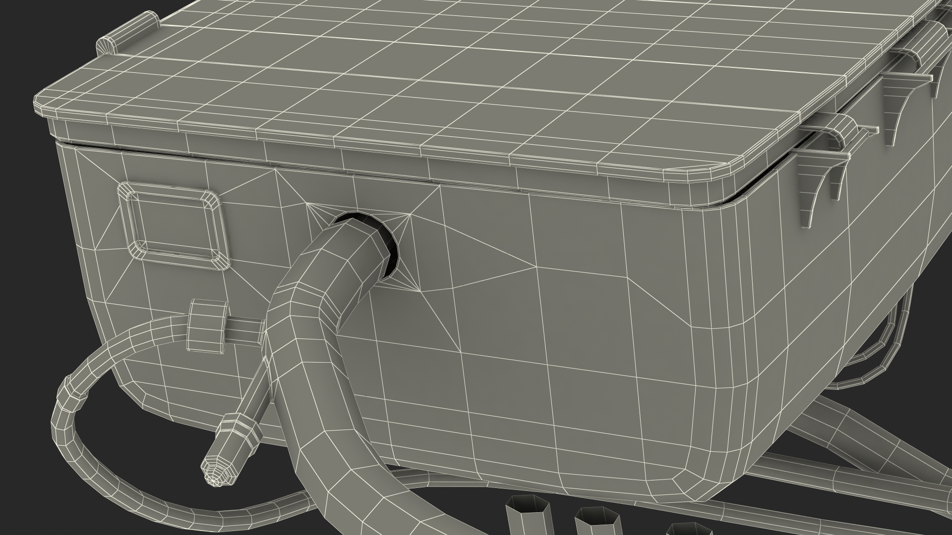 3D Heart in Organ Care Box model