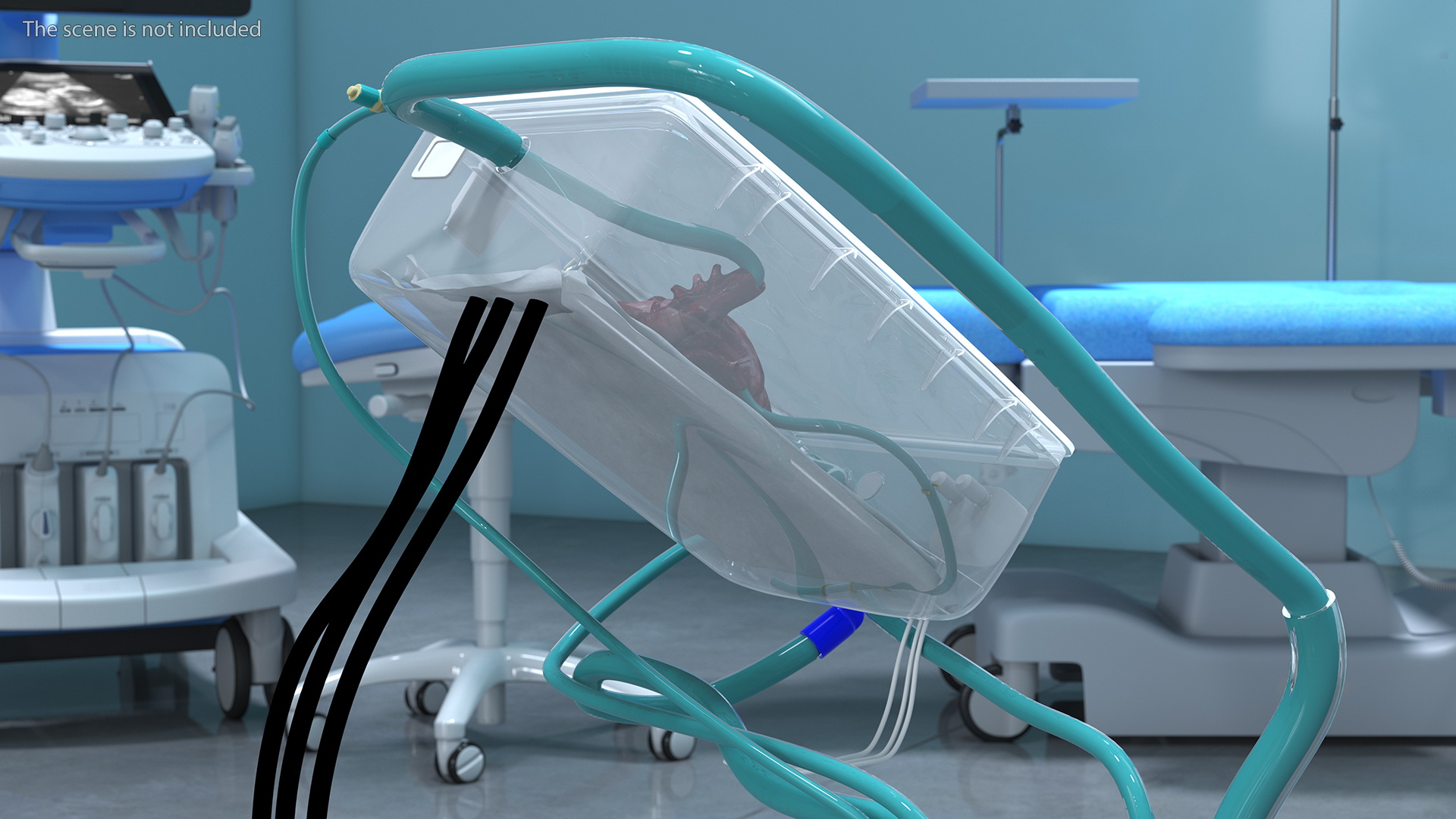 3D Heart in Organ Care Box model