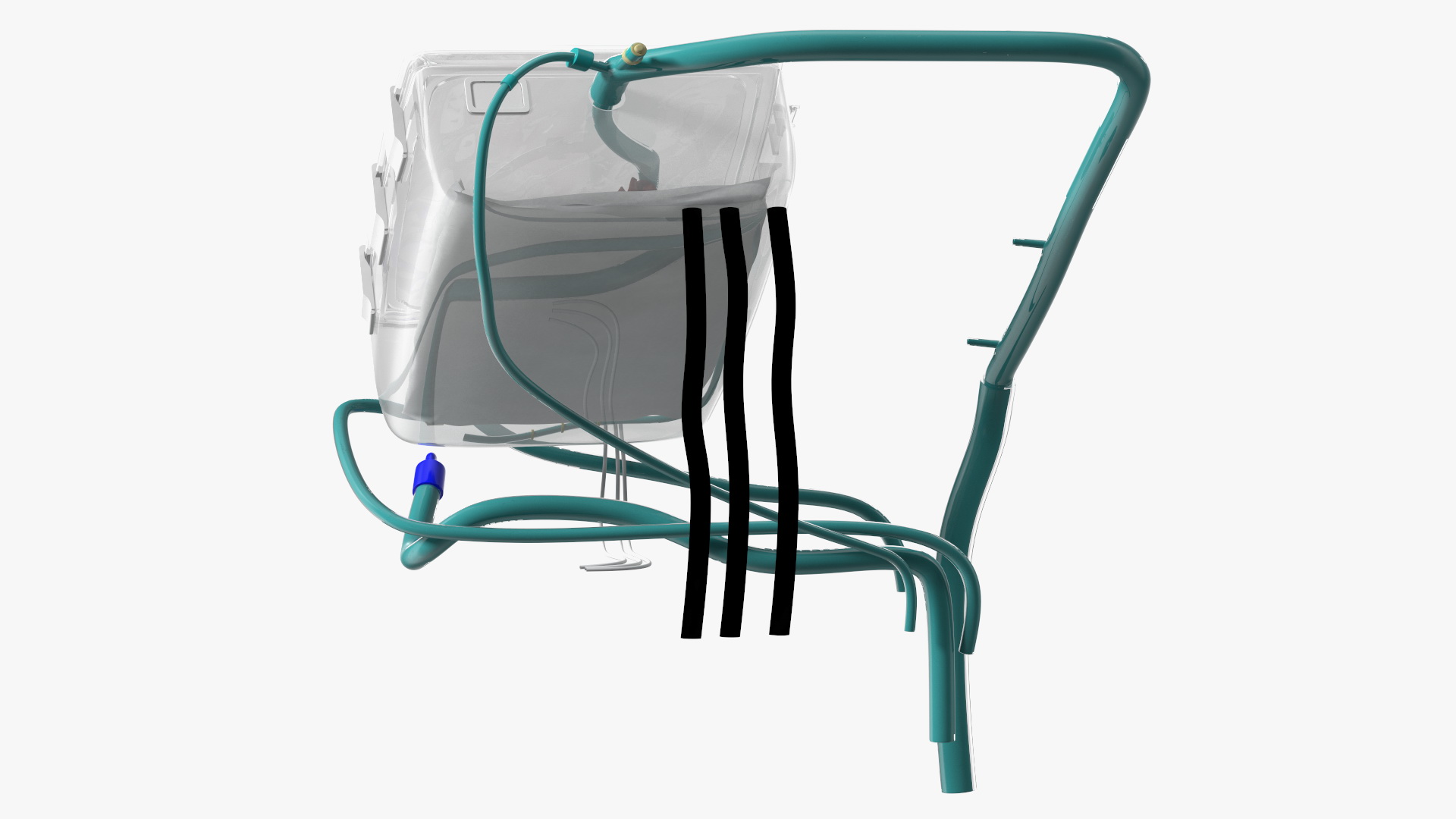 3D Heart in Organ Care Box model
