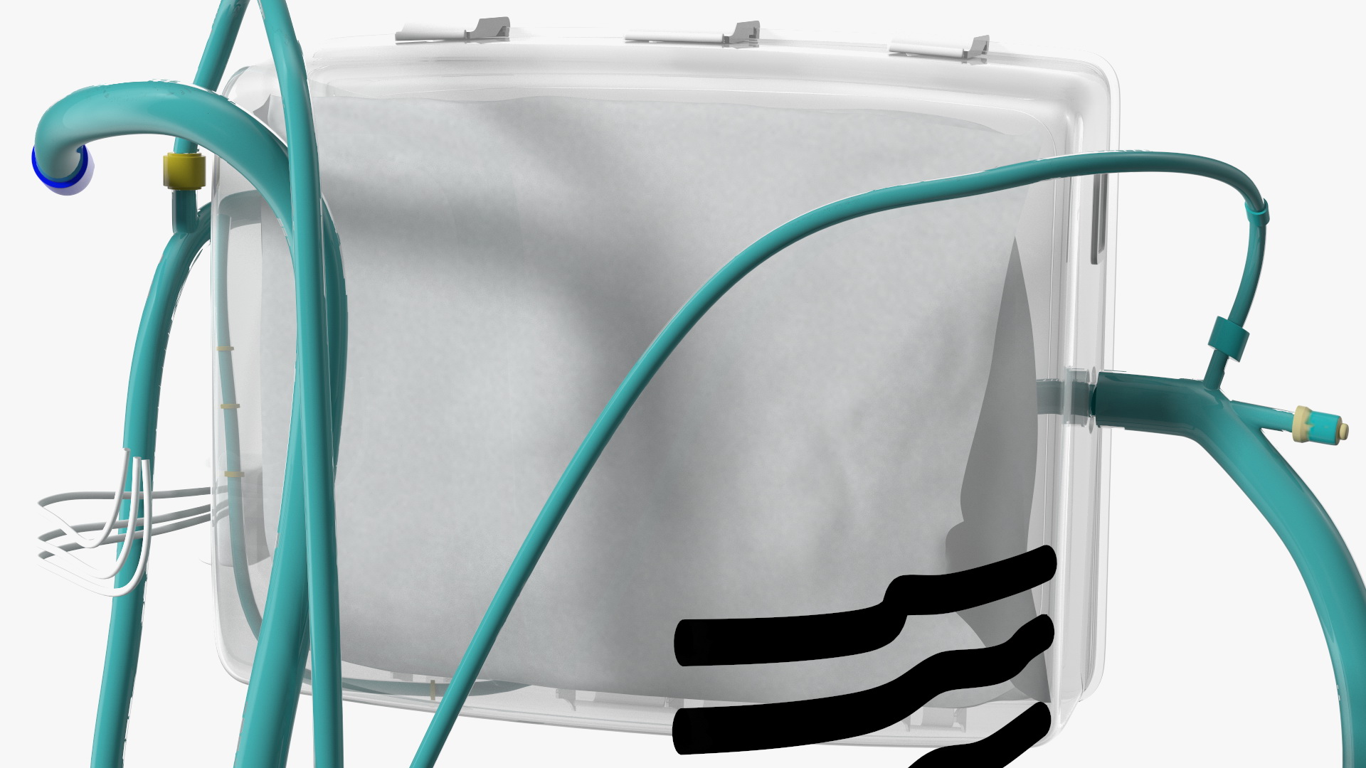 3D Heart in Organ Care Box model