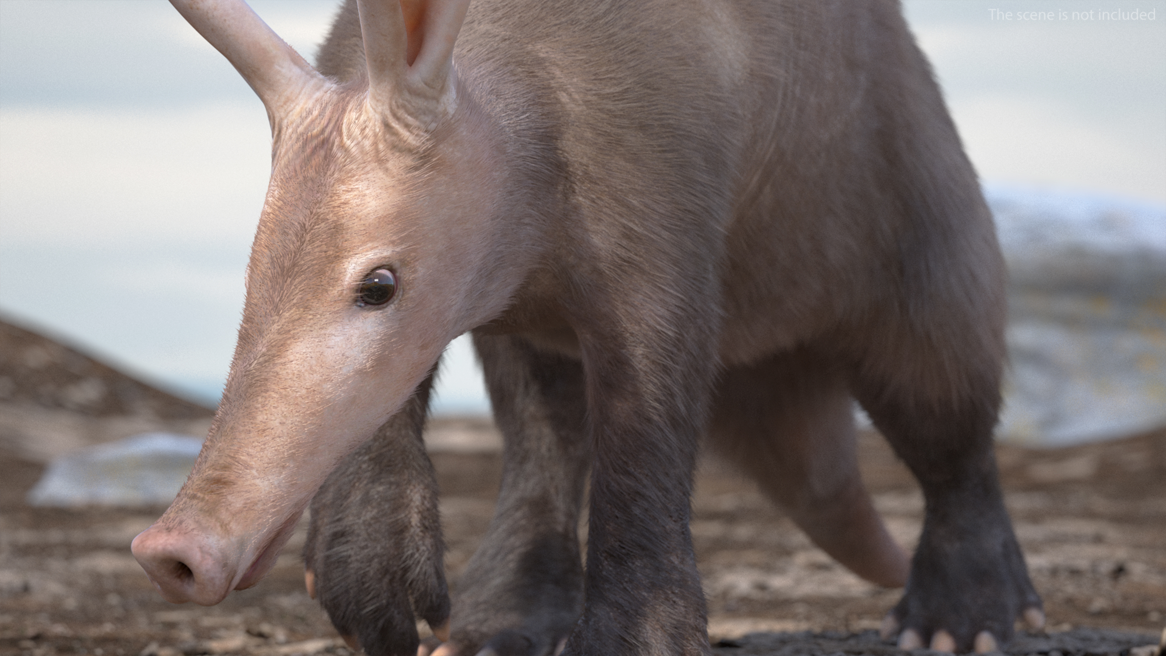 Aardvark Fur Rigged 3D model