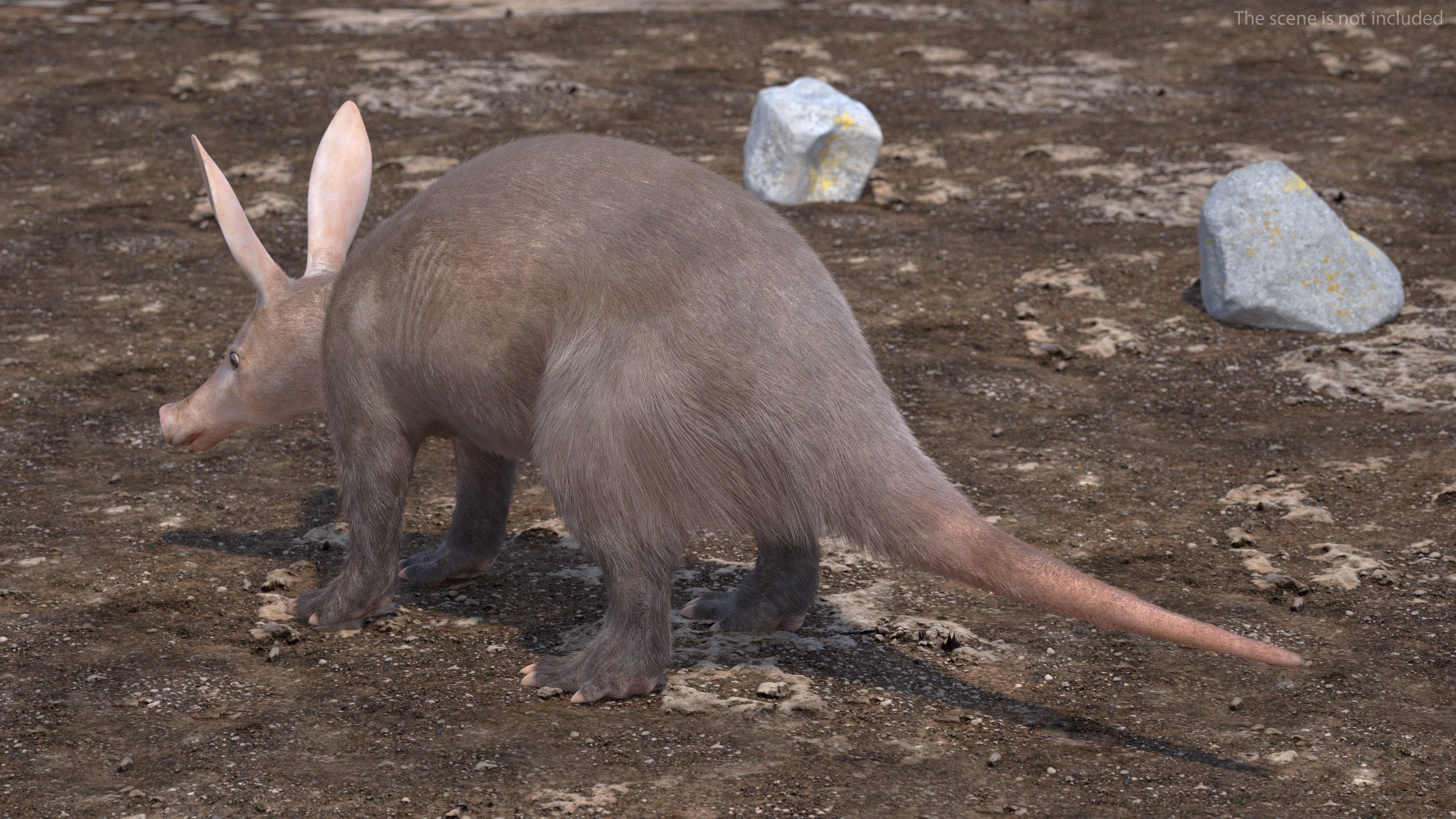 Aardvark Fur Rigged 3D model