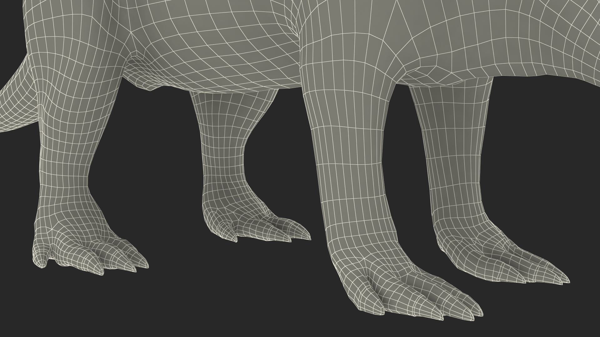 Aardvark Fur Rigged 3D model
