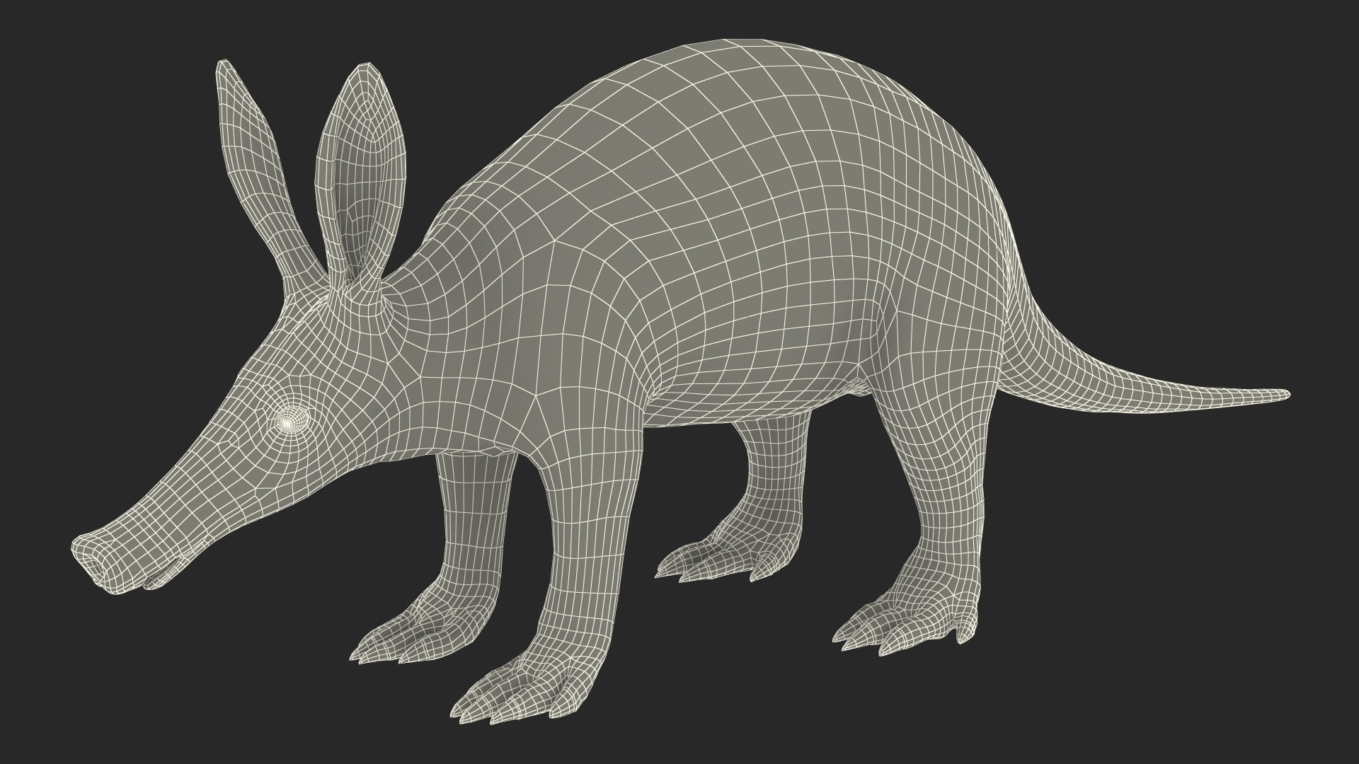 Aardvark Fur Rigged 3D model