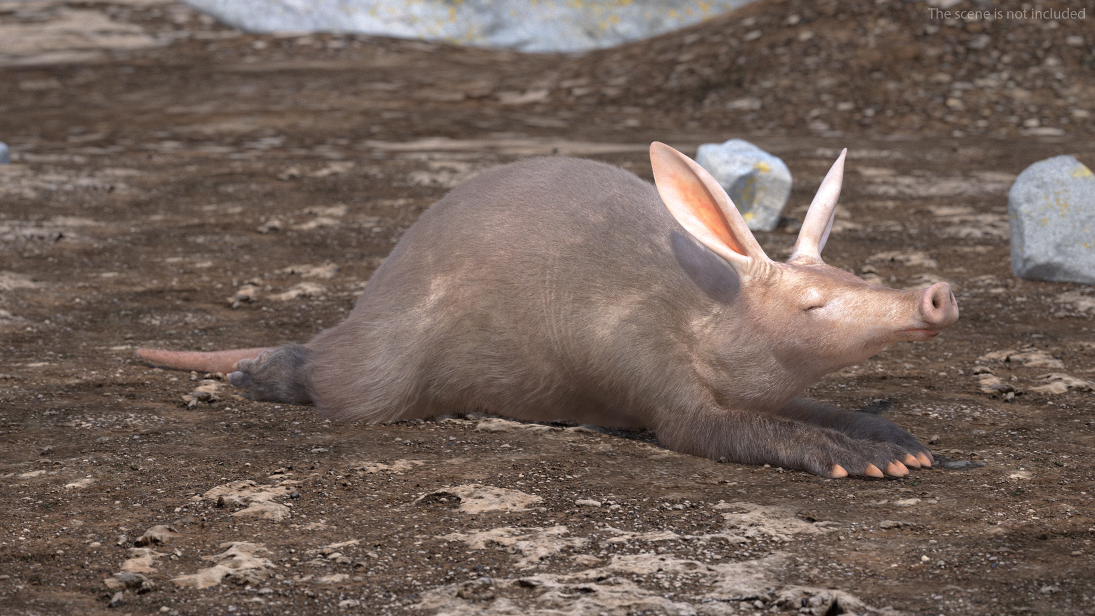 Aardvark Fur Rigged 3D model