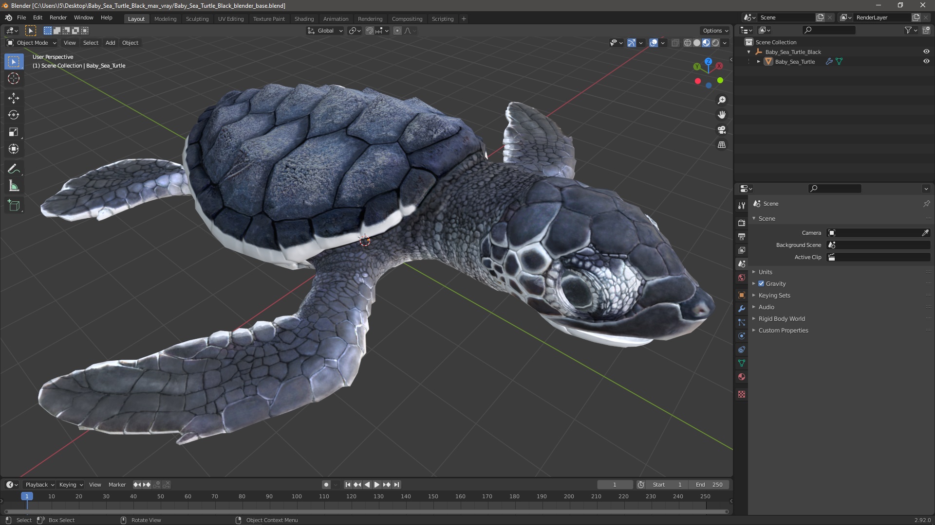 3D Baby Sea Turtle Black