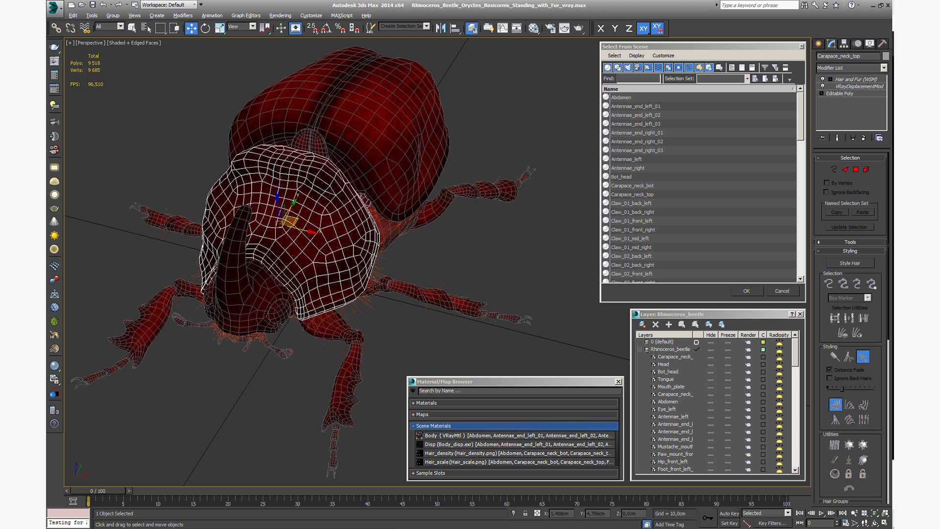 Rhinoceros Beetle Oryctes Nasicornis Standing with Fur 3D model