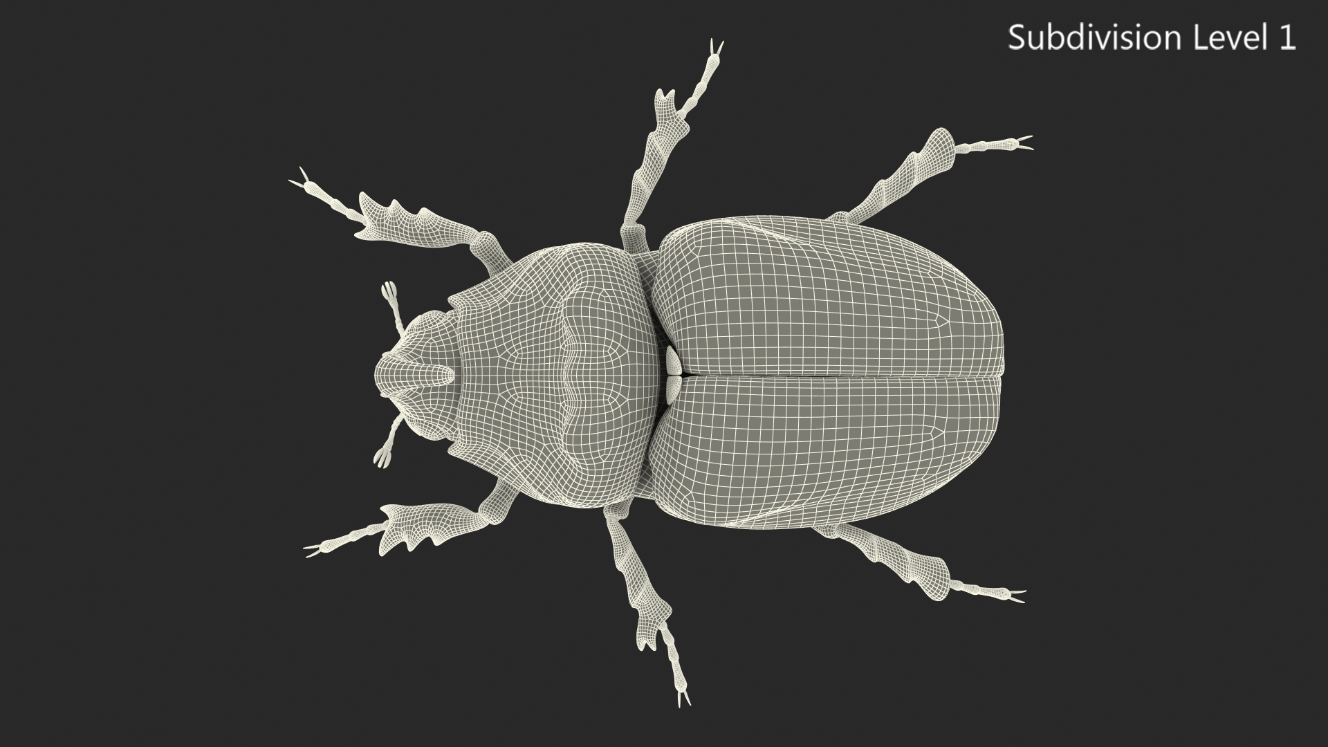 Rhinoceros Beetle Oryctes Nasicornis Standing with Fur 3D model