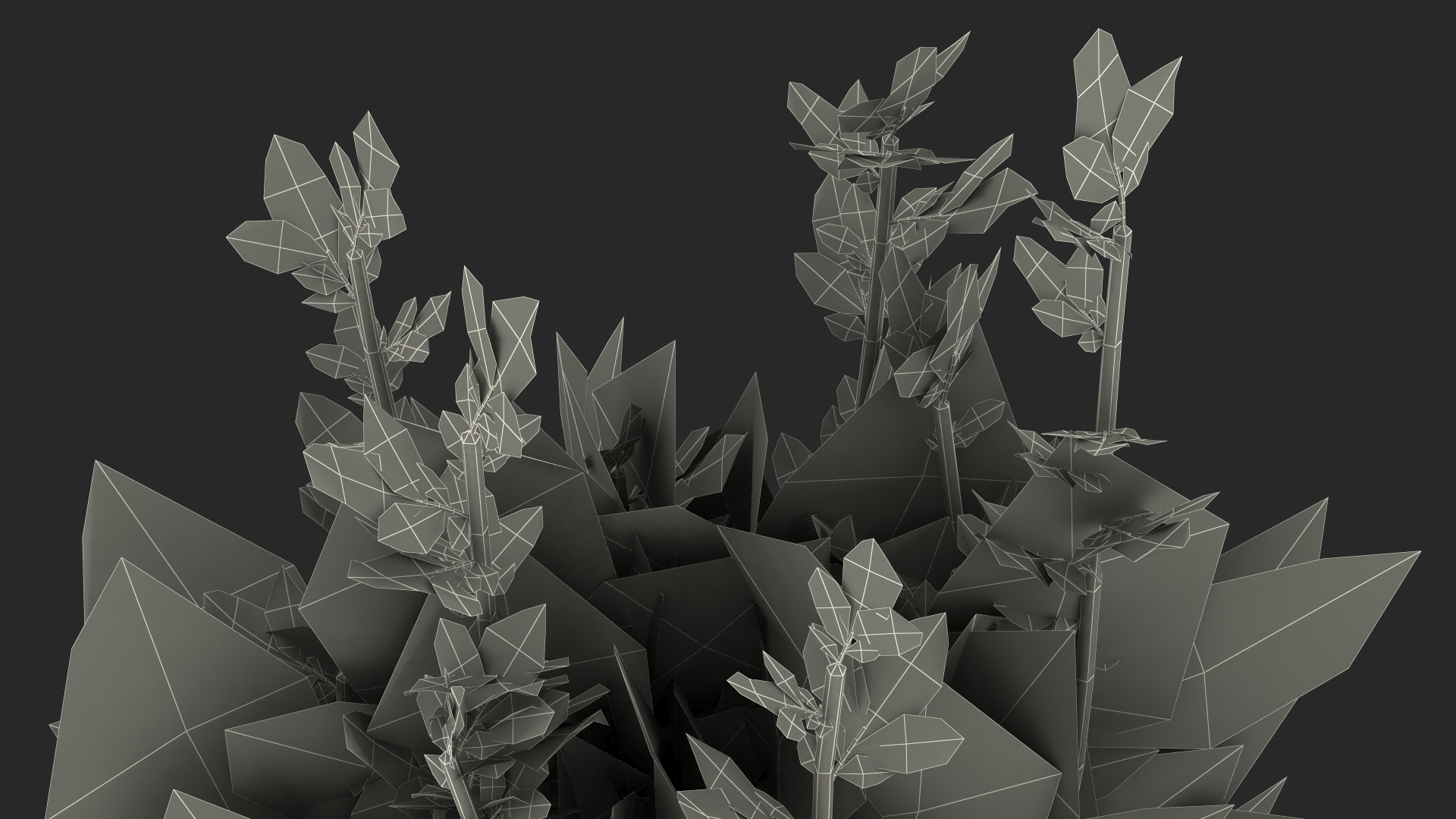 3D Chinese Arborvitae model