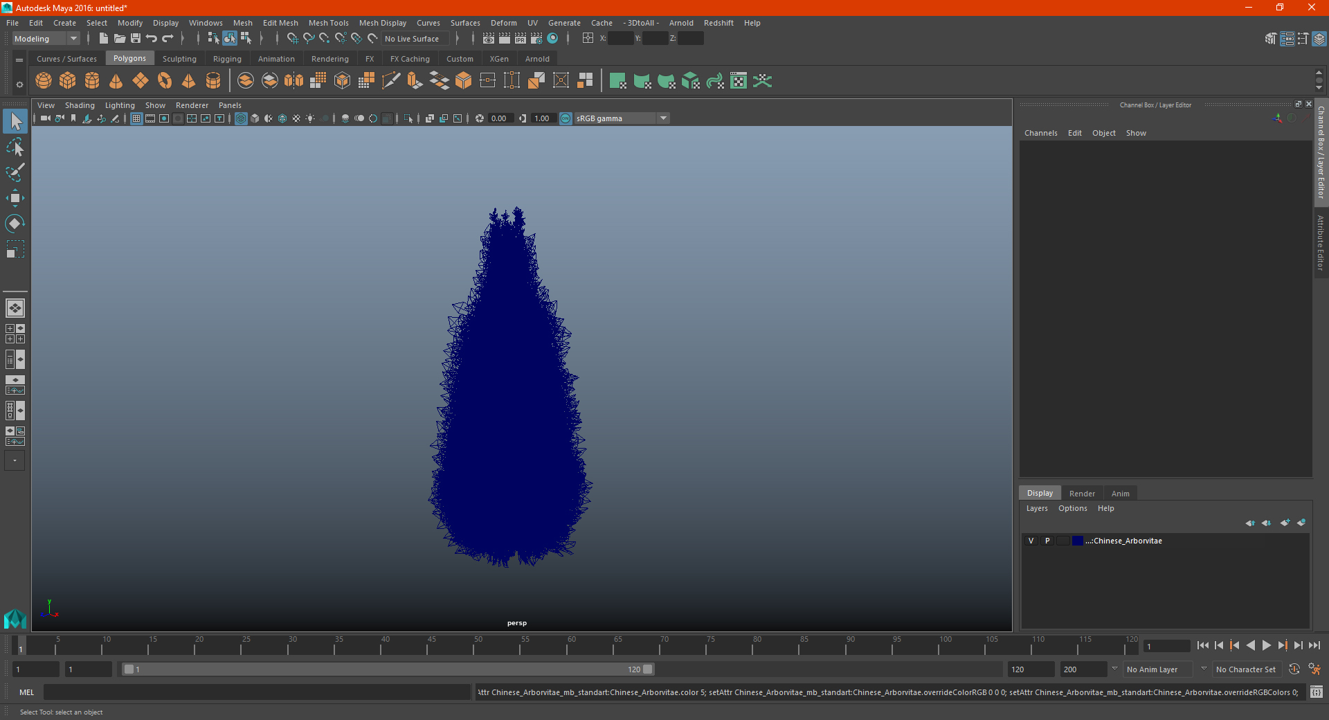 3D Chinese Arborvitae model