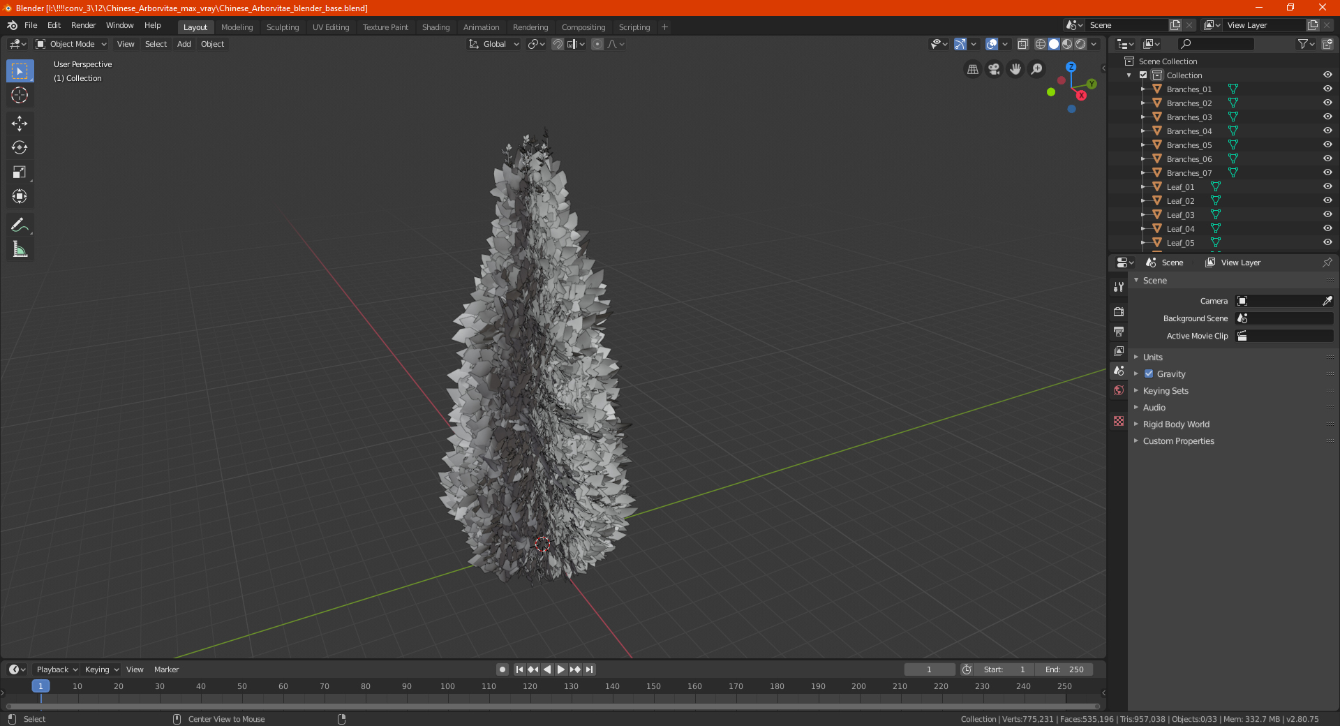 3D Chinese Arborvitae model