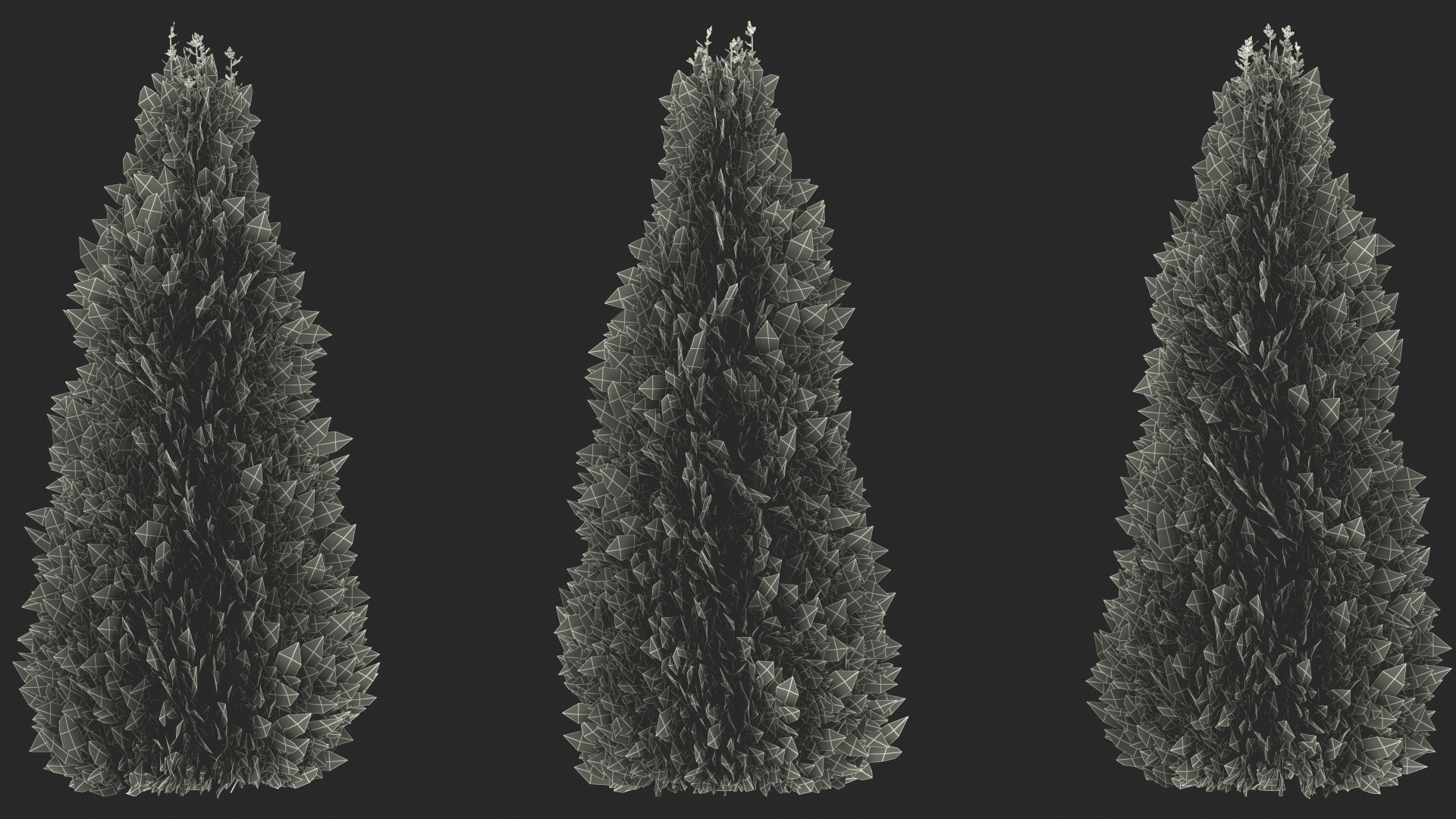 3D Chinese Arborvitae model