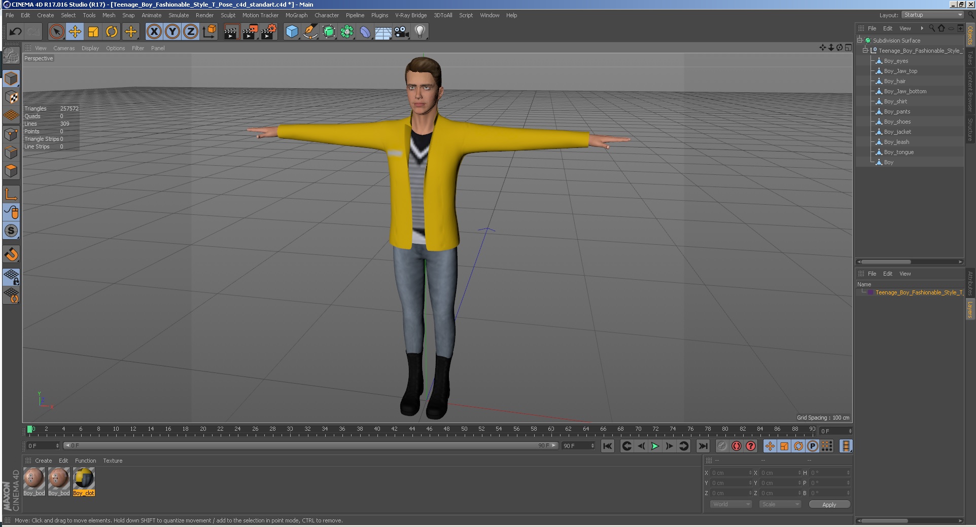 3D Teenage Boy Fashionable Style T Pose