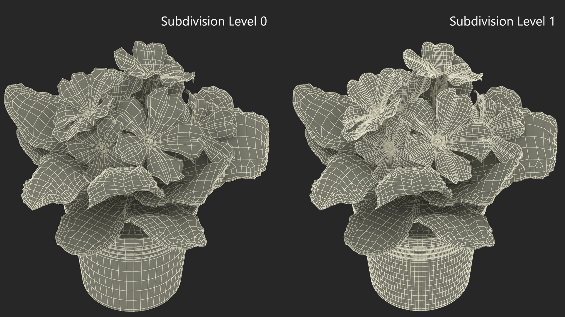 Potted Primrose Common Yellow 3D model