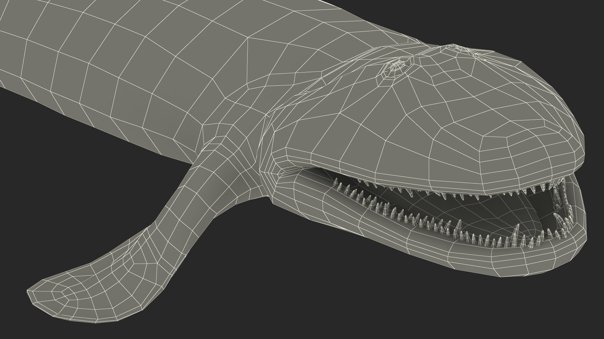 Hunting Tiktaalik 3D