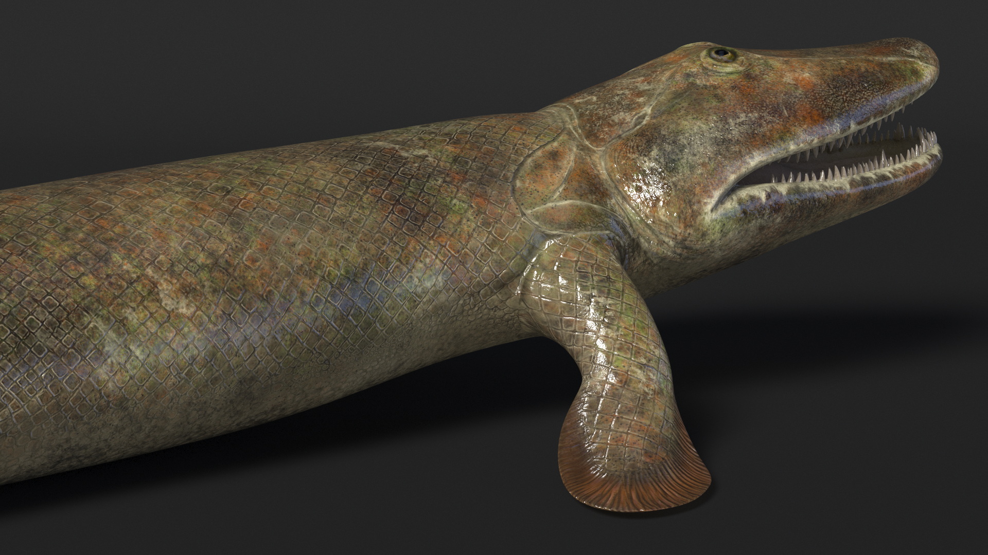 Hunting Tiktaalik 3D
