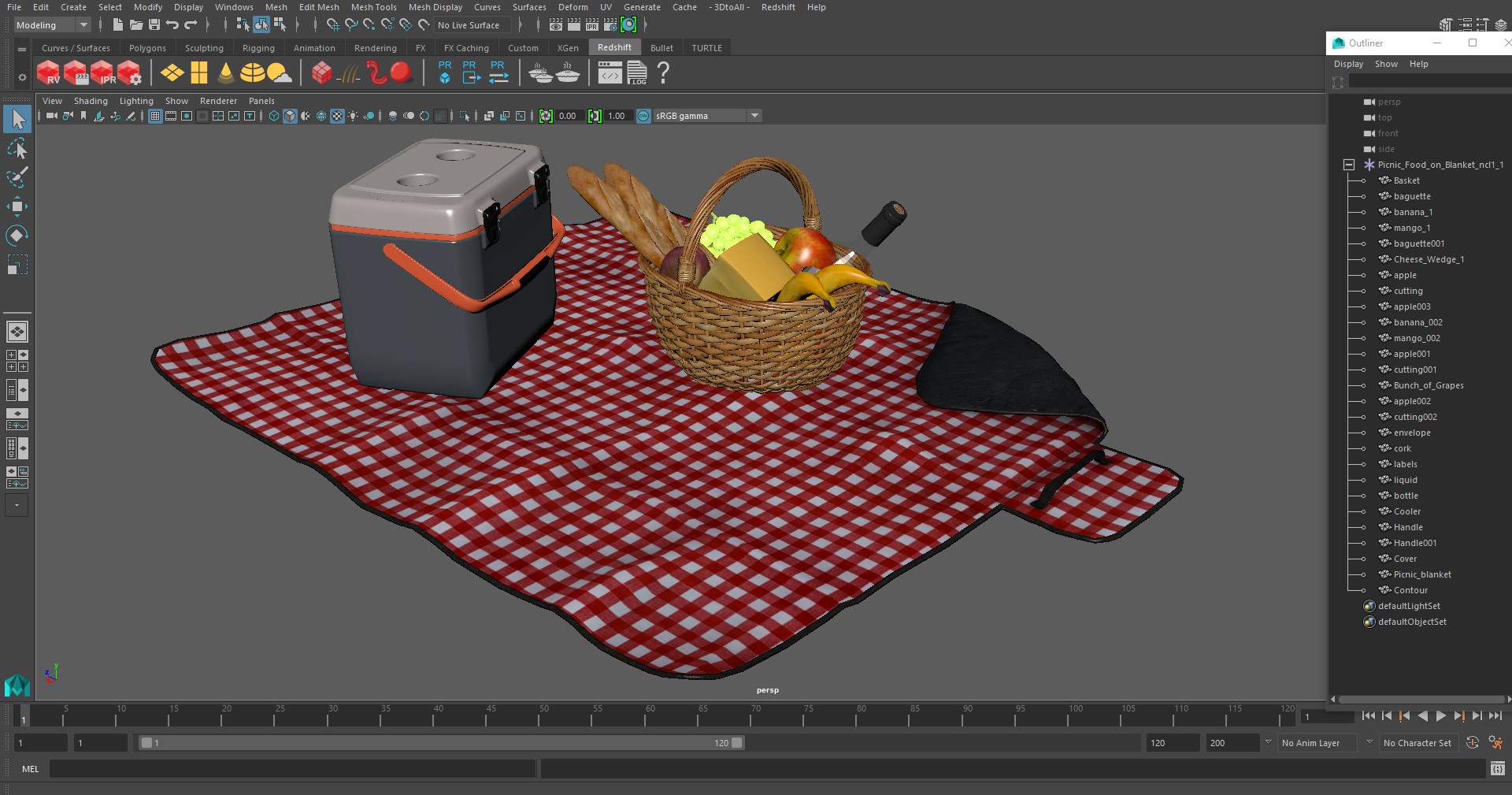 Picnic Food on Blanket 3D