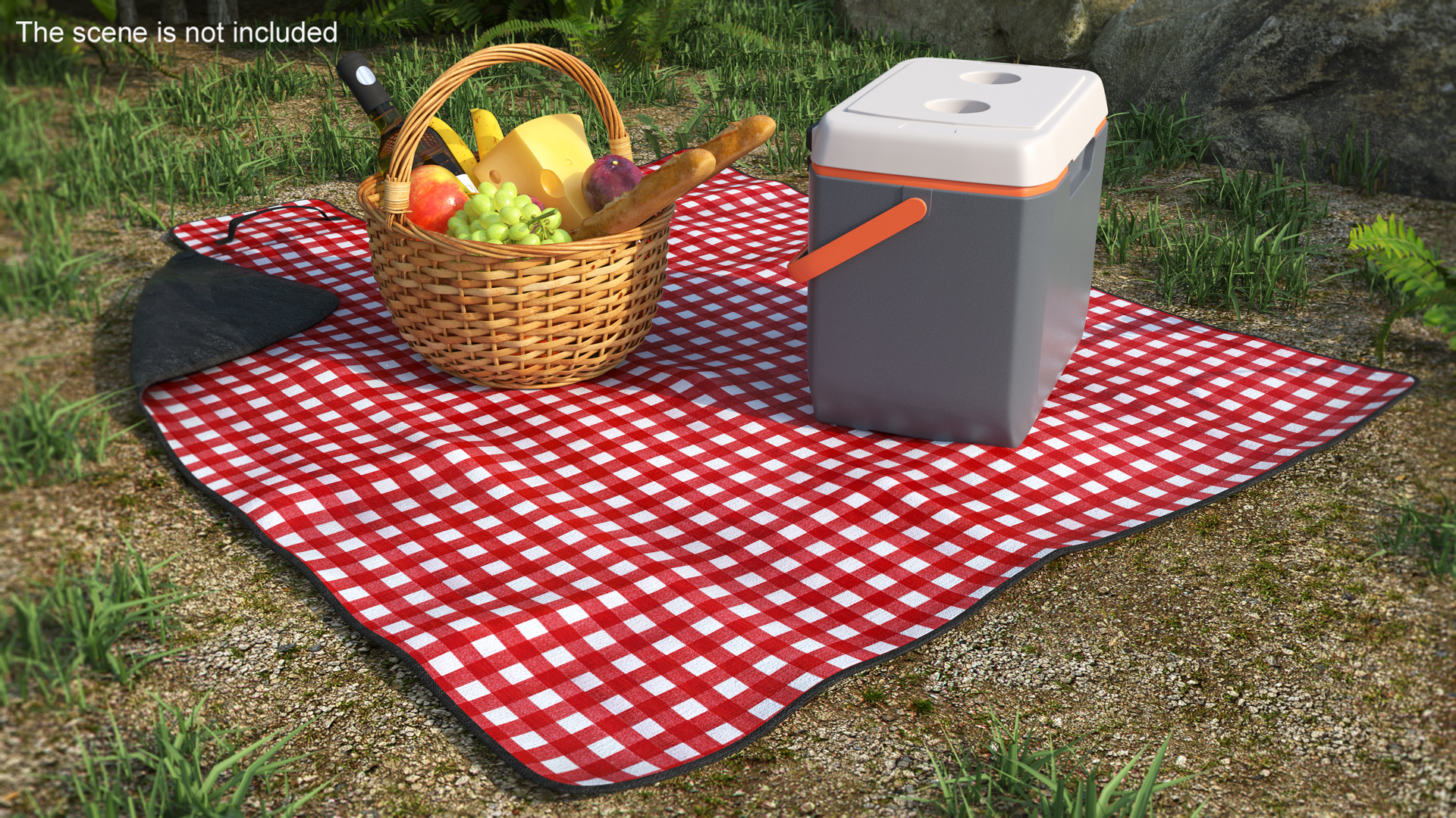 Picnic Food on Blanket 3D