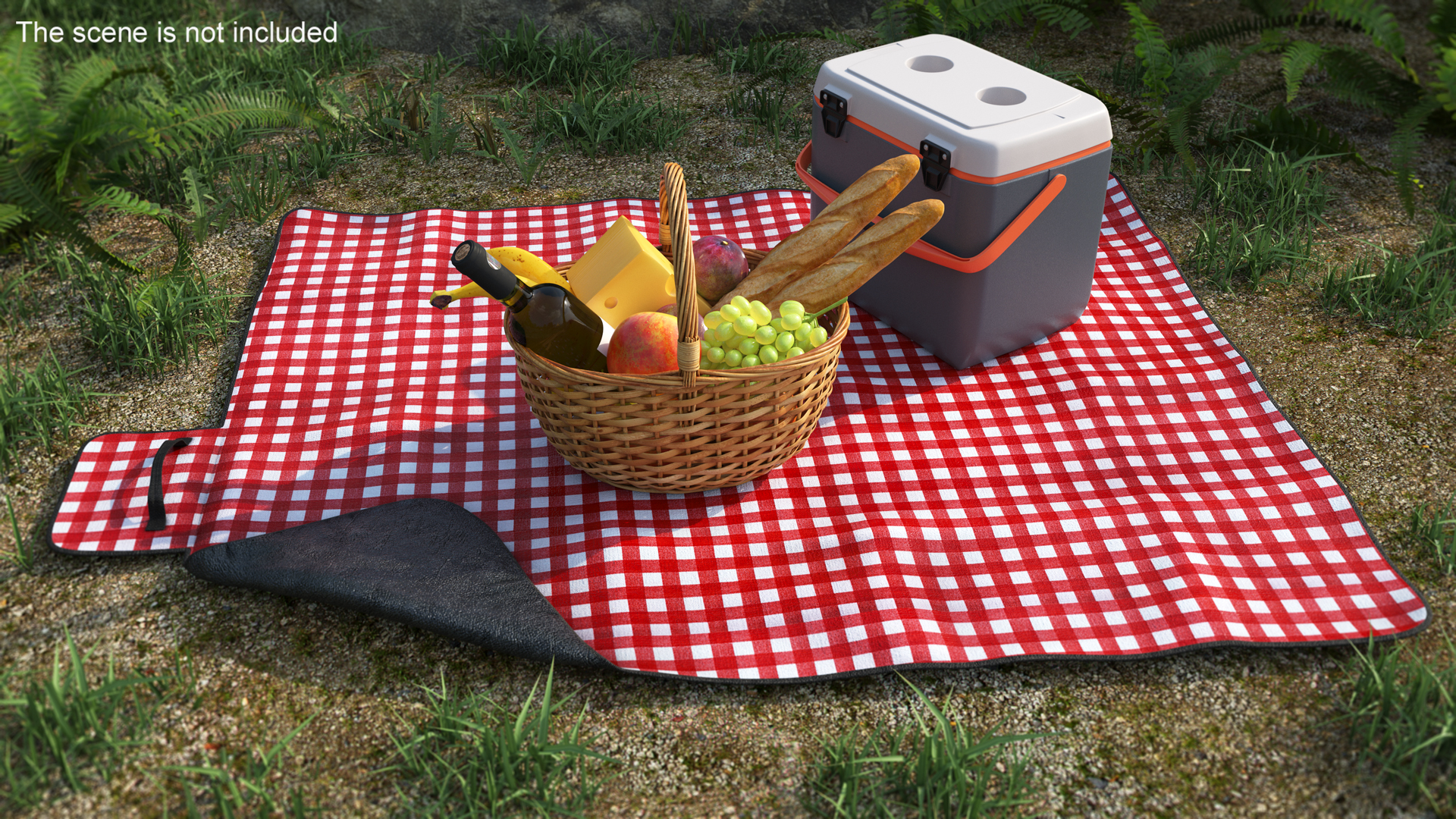 Picnic Food on Blanket 3D