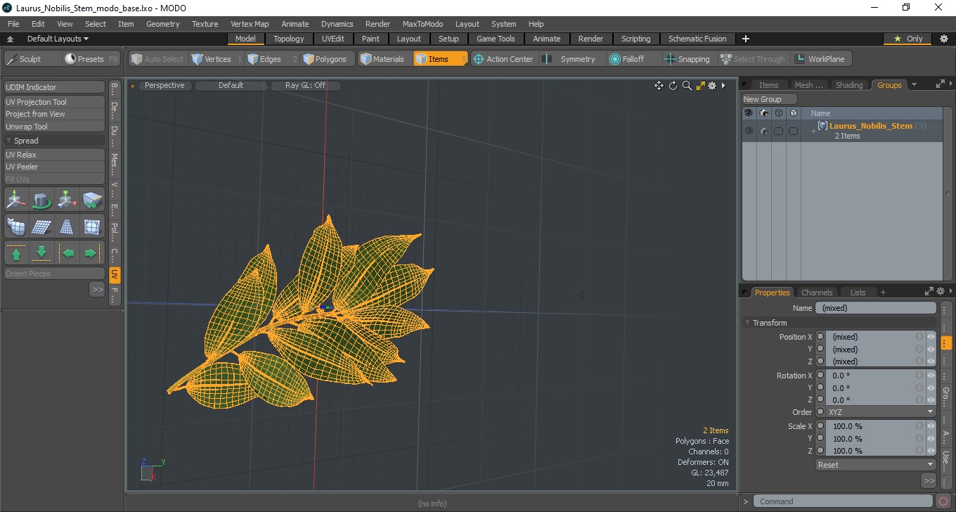 Laurus Nobilis Stem 3D model