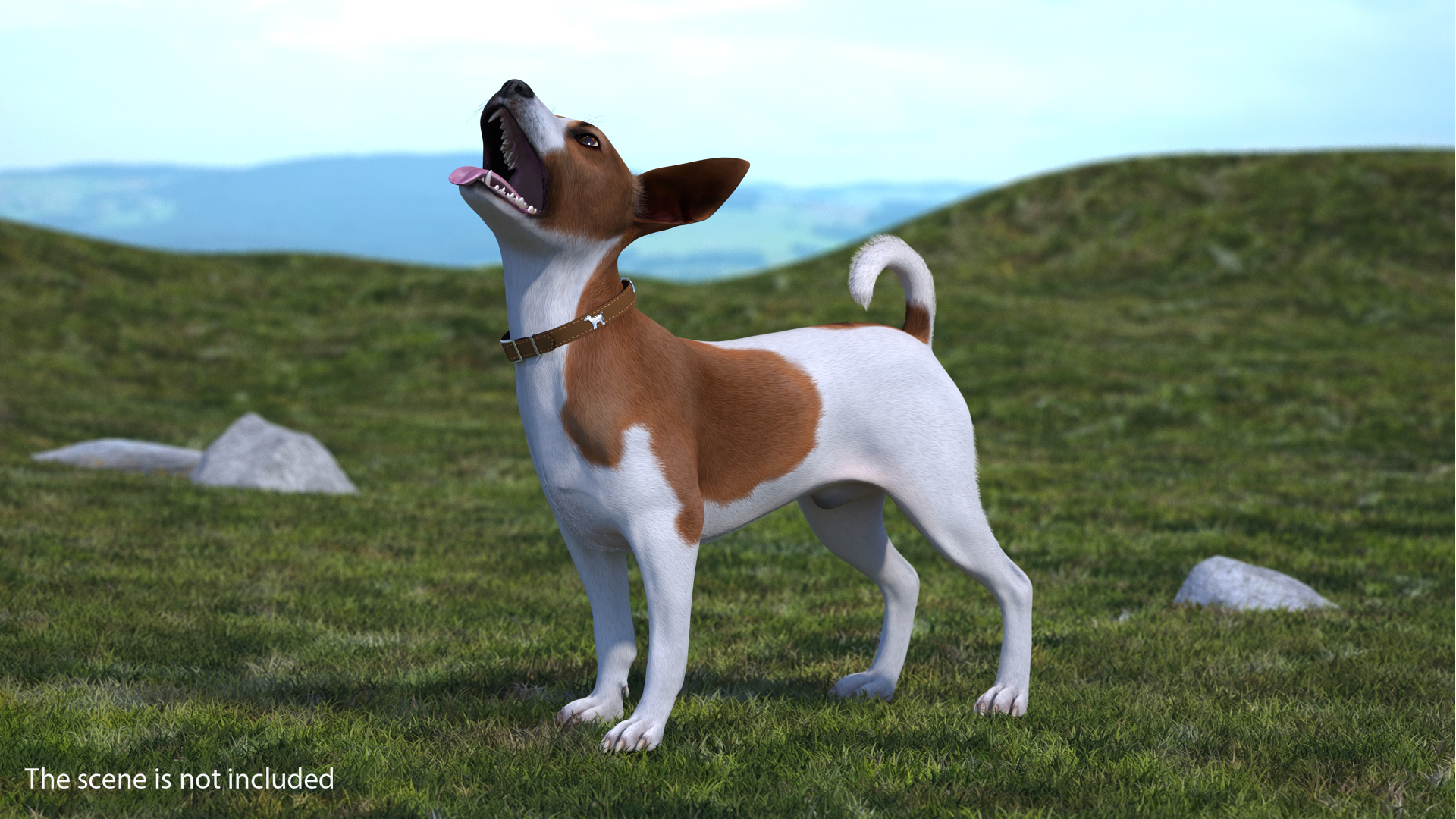 3D model Spotted Jack Russell Terrier Waiting Pose Fur