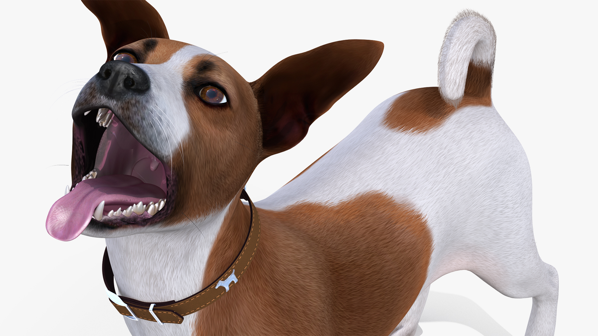 3D model Spotted Jack Russell Terrier Waiting Pose Fur