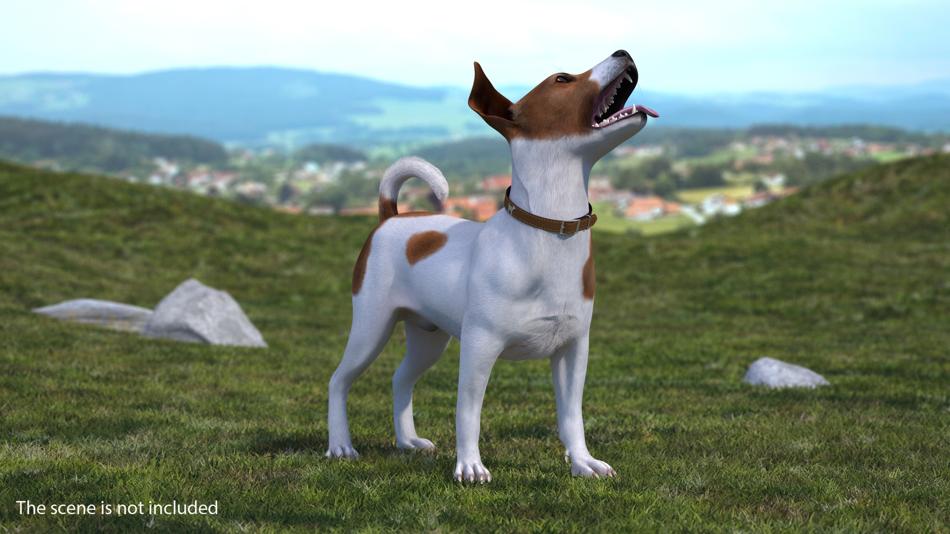 3D model Spotted Jack Russell Terrier Waiting Pose Fur