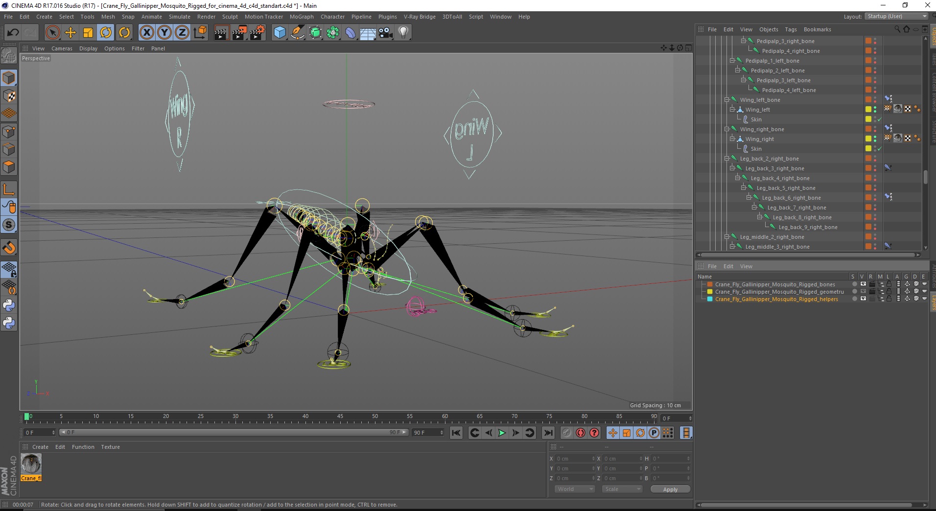 3D Crane Fly Gallinipper Mosquito Rigged for Cinema 4D