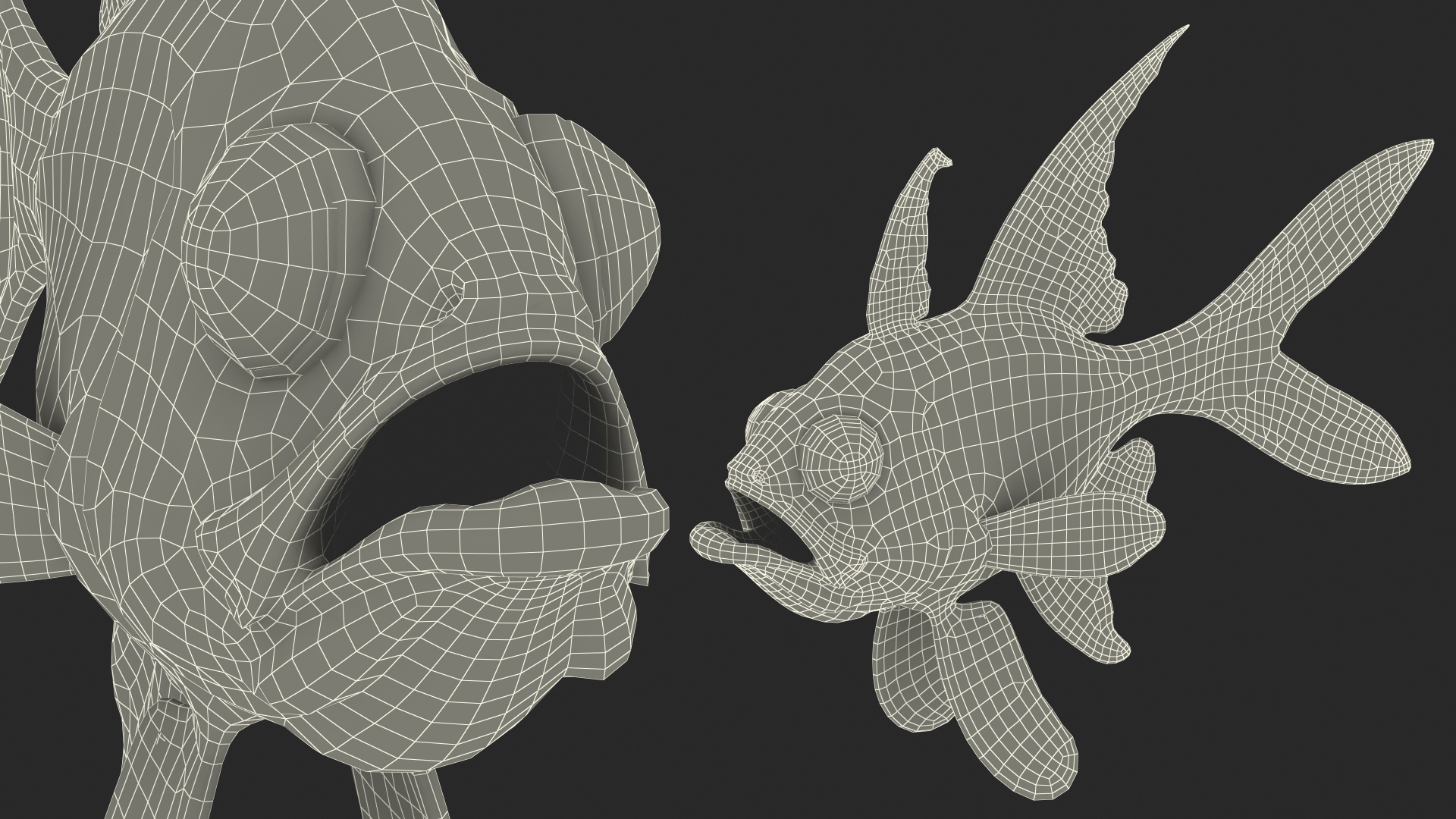 3D Banggai Cardinalfish Neutral Pose model