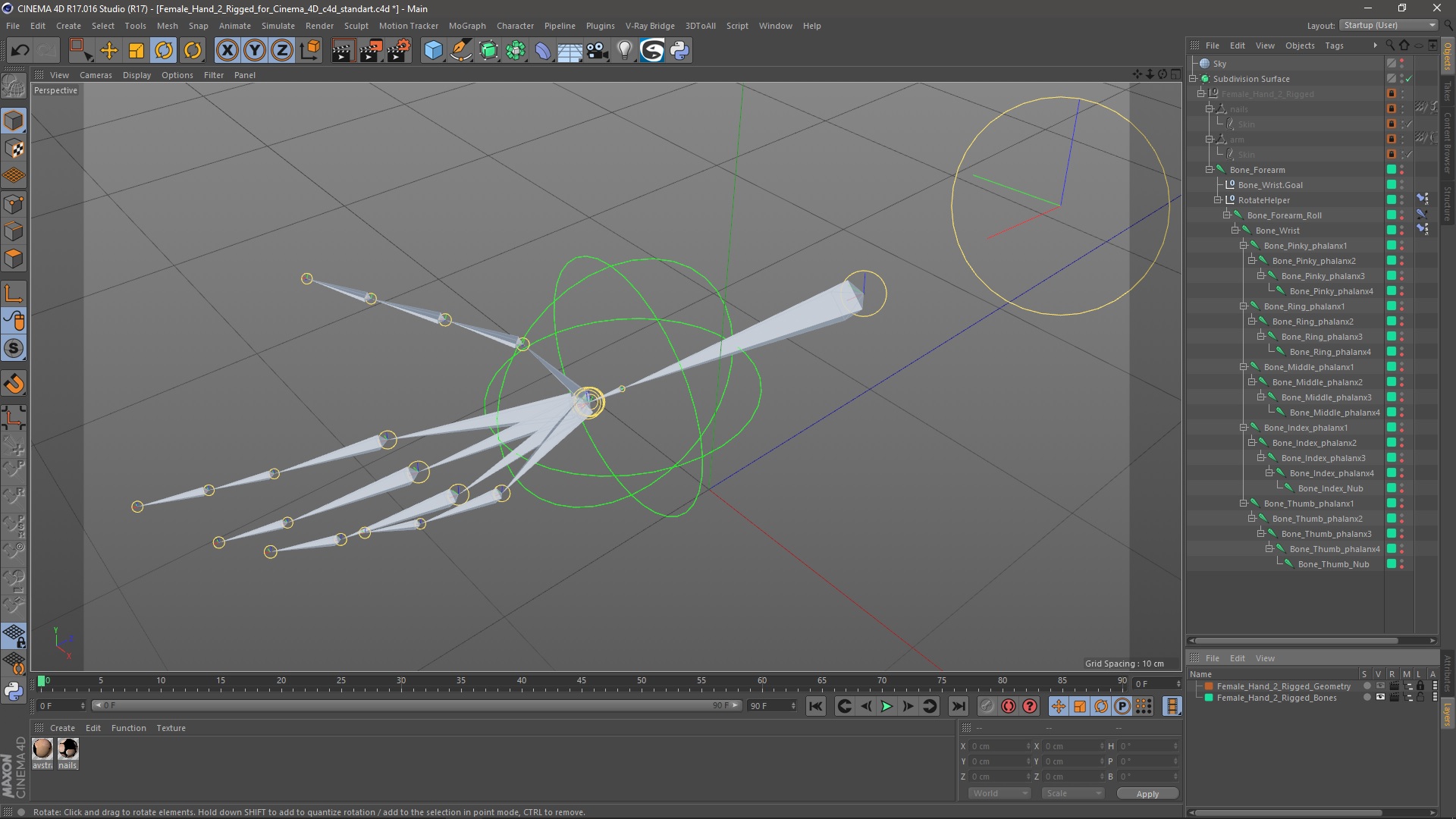Female Hand 2 Rigged for Cinema 4D 3D model