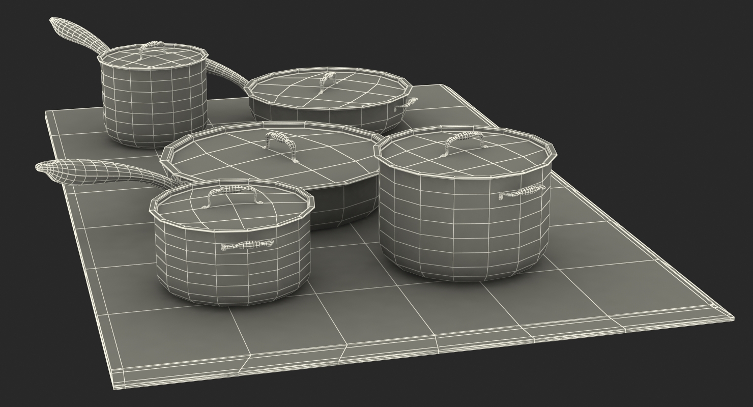 3D model 5 Zone Induction Hob with Stainless Tableware