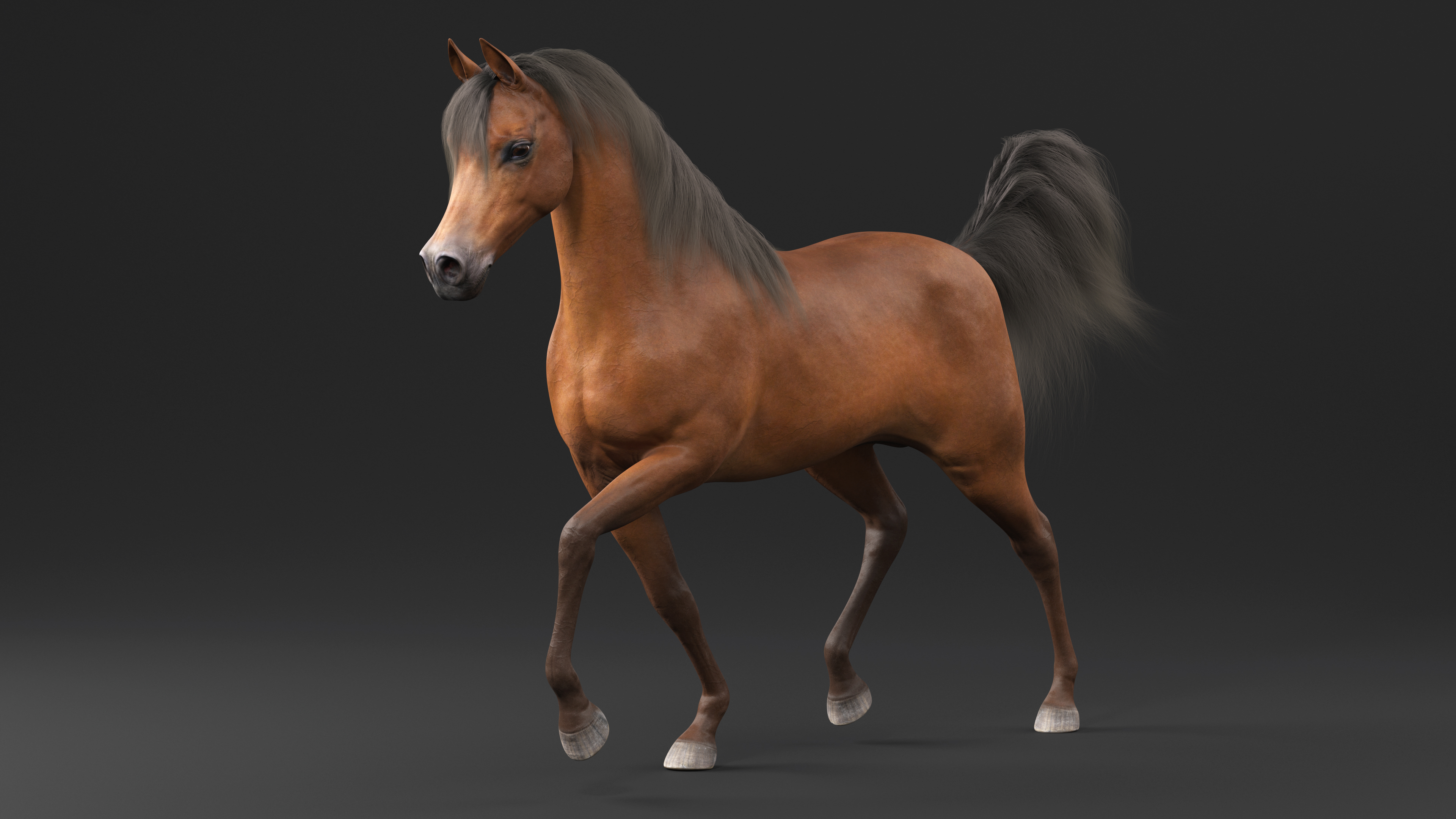 3D Walking Arabian Horse Brown Fur