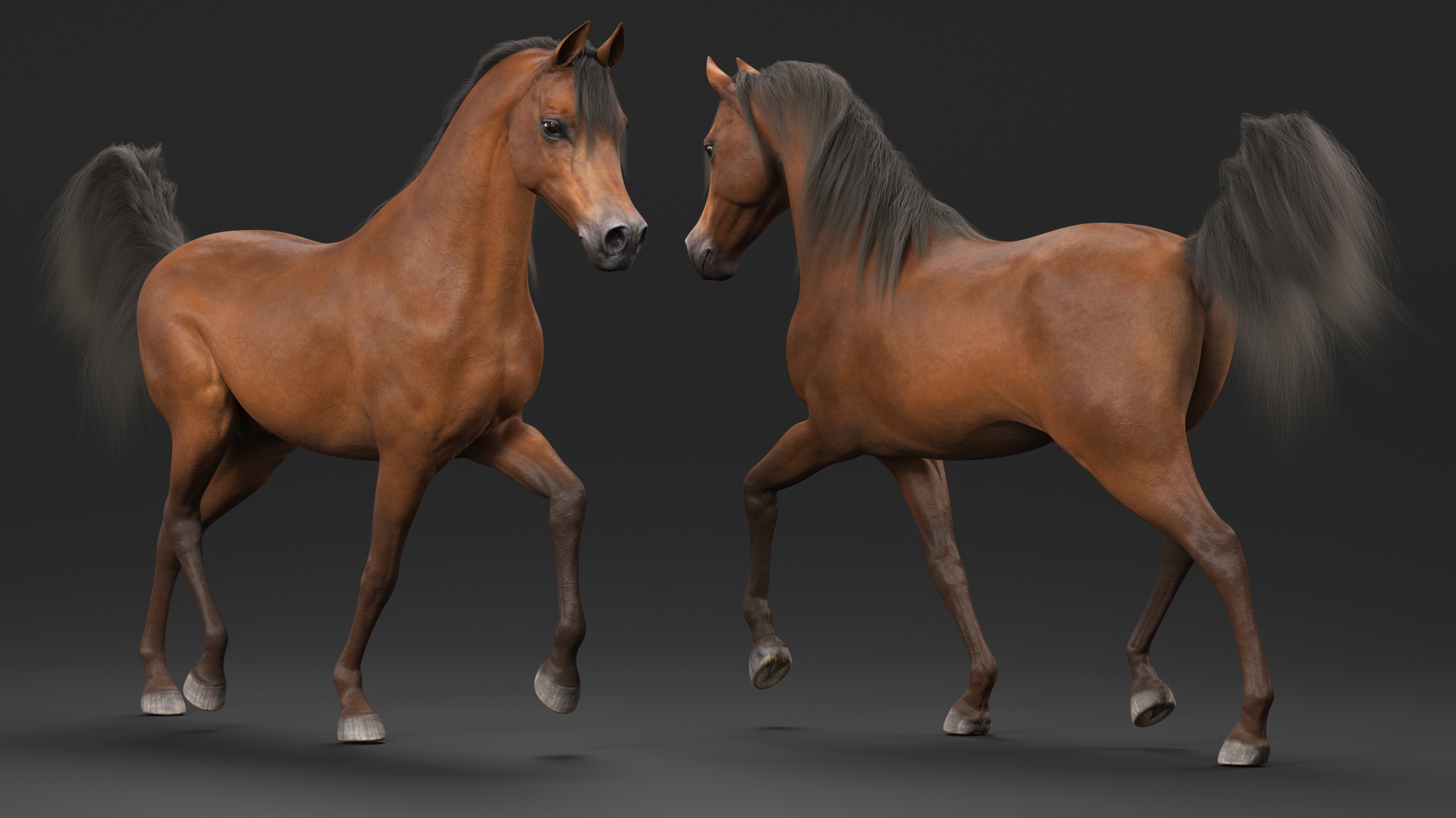 3D Walking Arabian Horse Brown Fur