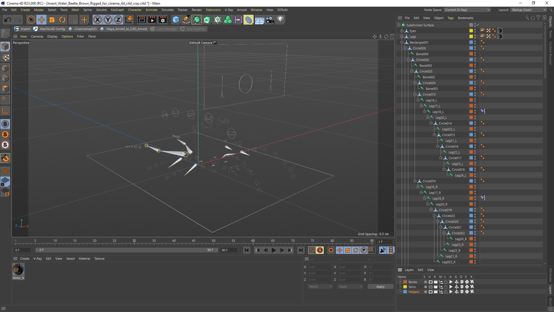3D Insect Water Beetle Brown Rigged for Cinema 4D