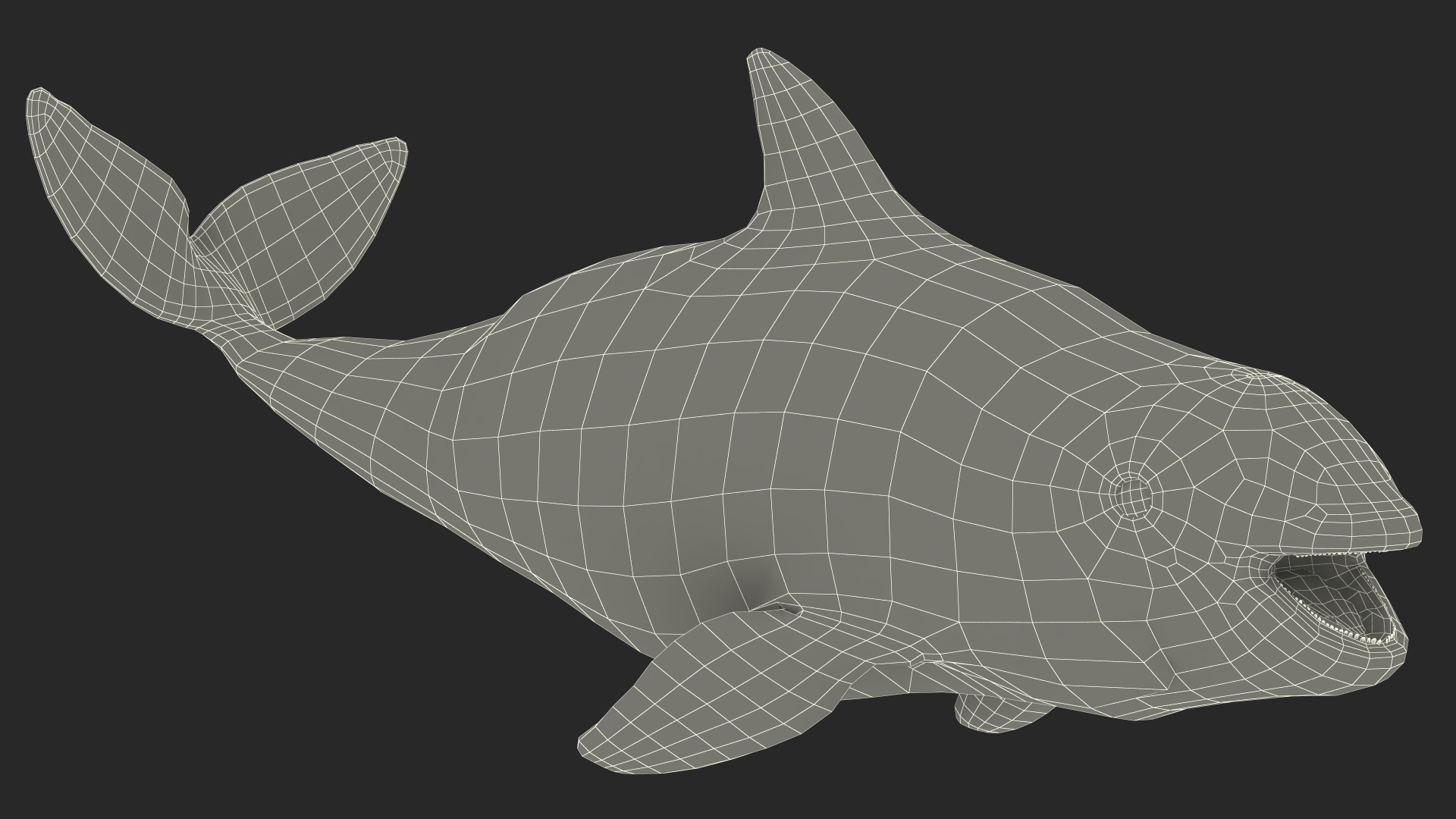 Smallest Cetacean Vaquita Rigged 3D