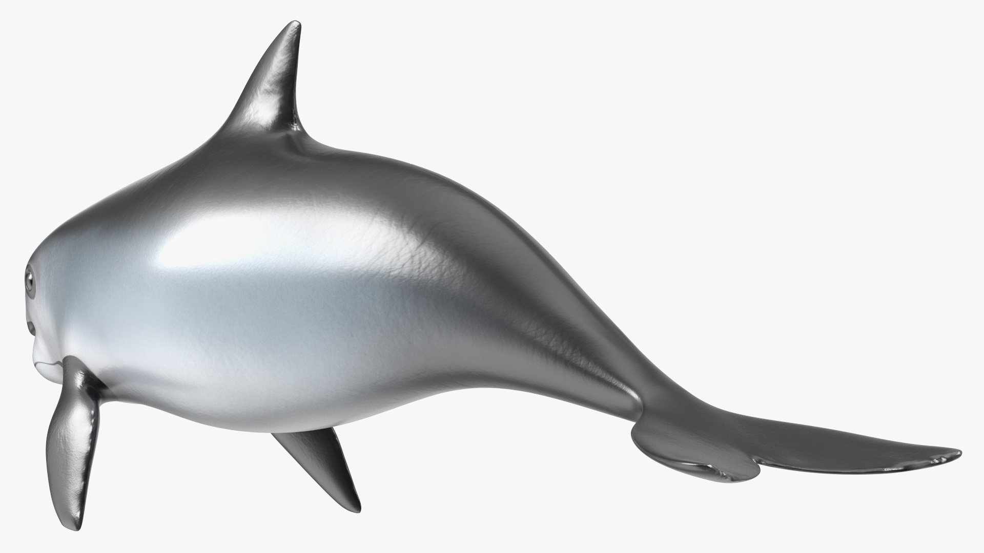 Smallest Cetacean Vaquita Rigged 3D