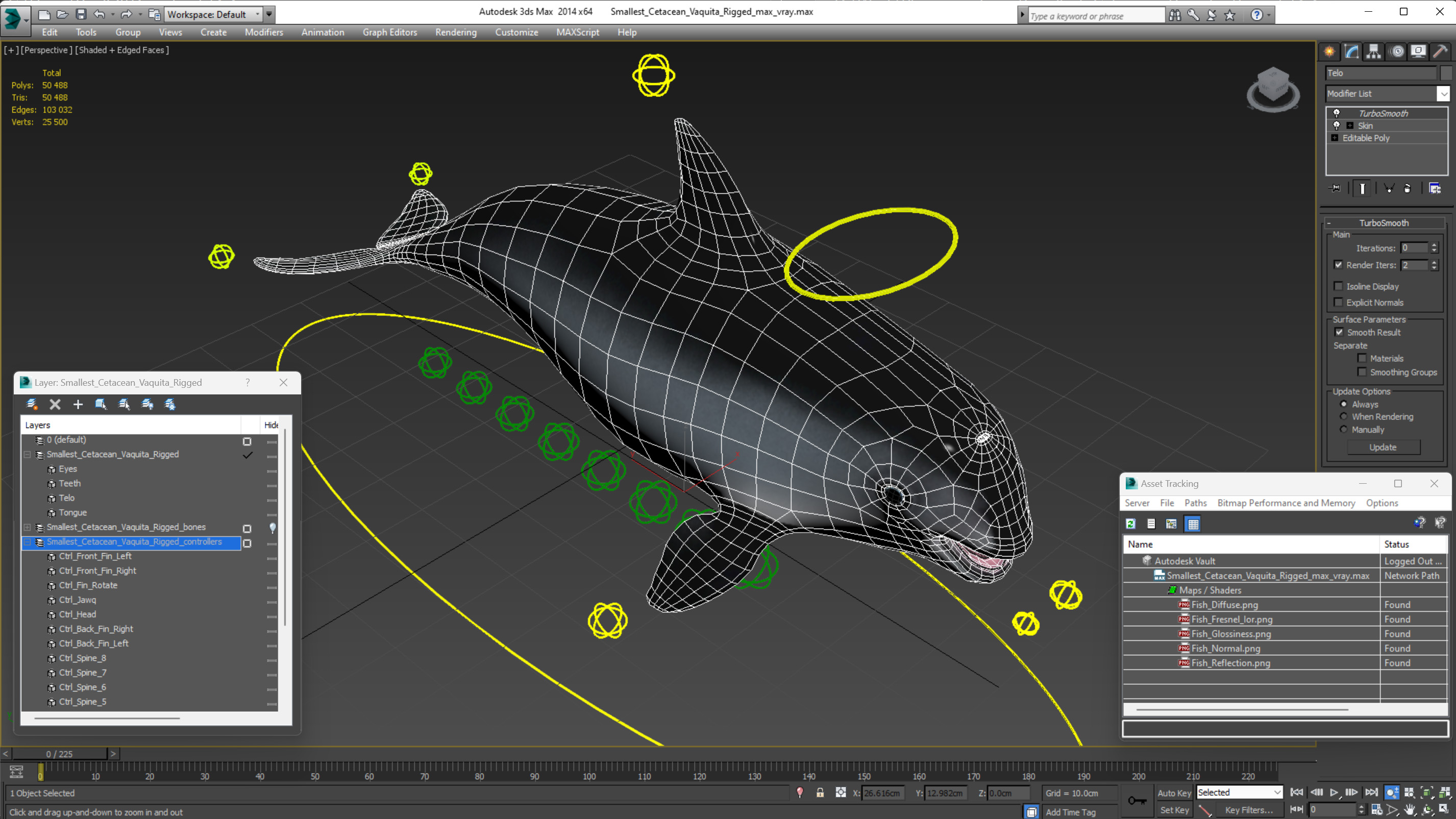 Smallest Cetacean Vaquita Rigged 3D