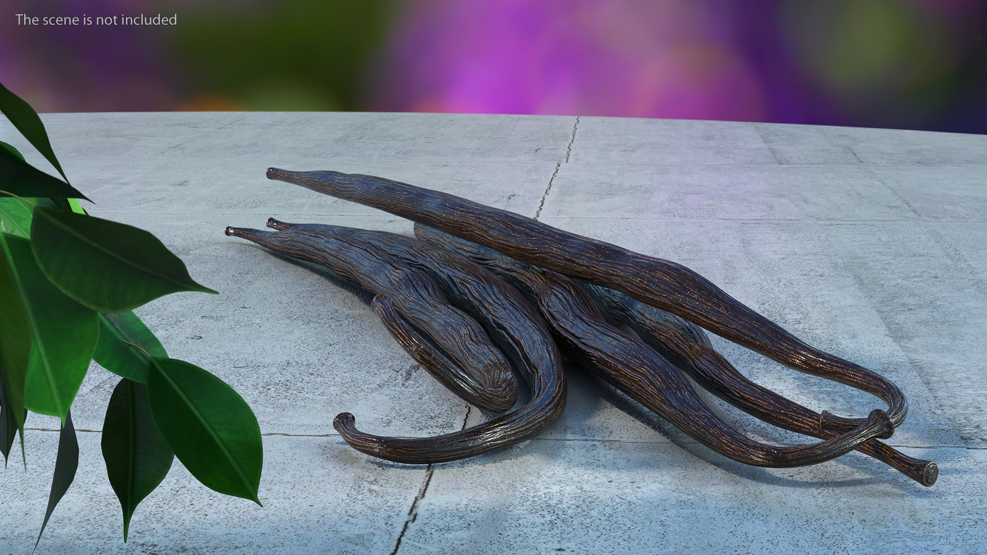 Vanilla Sticks 3D model