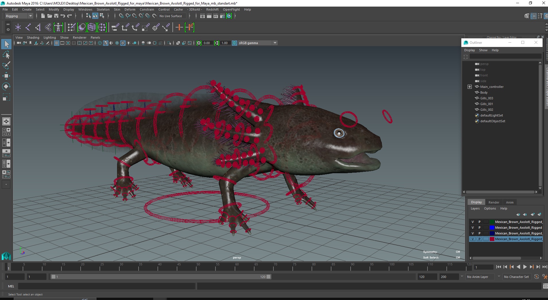 Mexican Brown Axolotl Rigged for Maya 3D