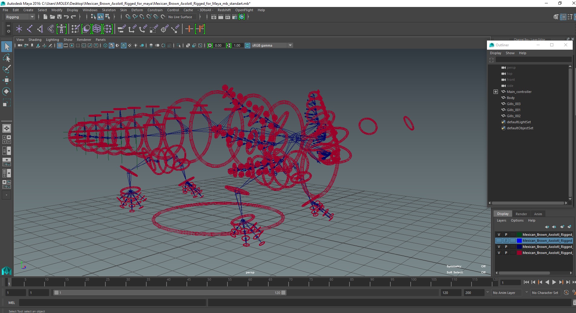 Mexican Brown Axolotl Rigged for Maya 3D