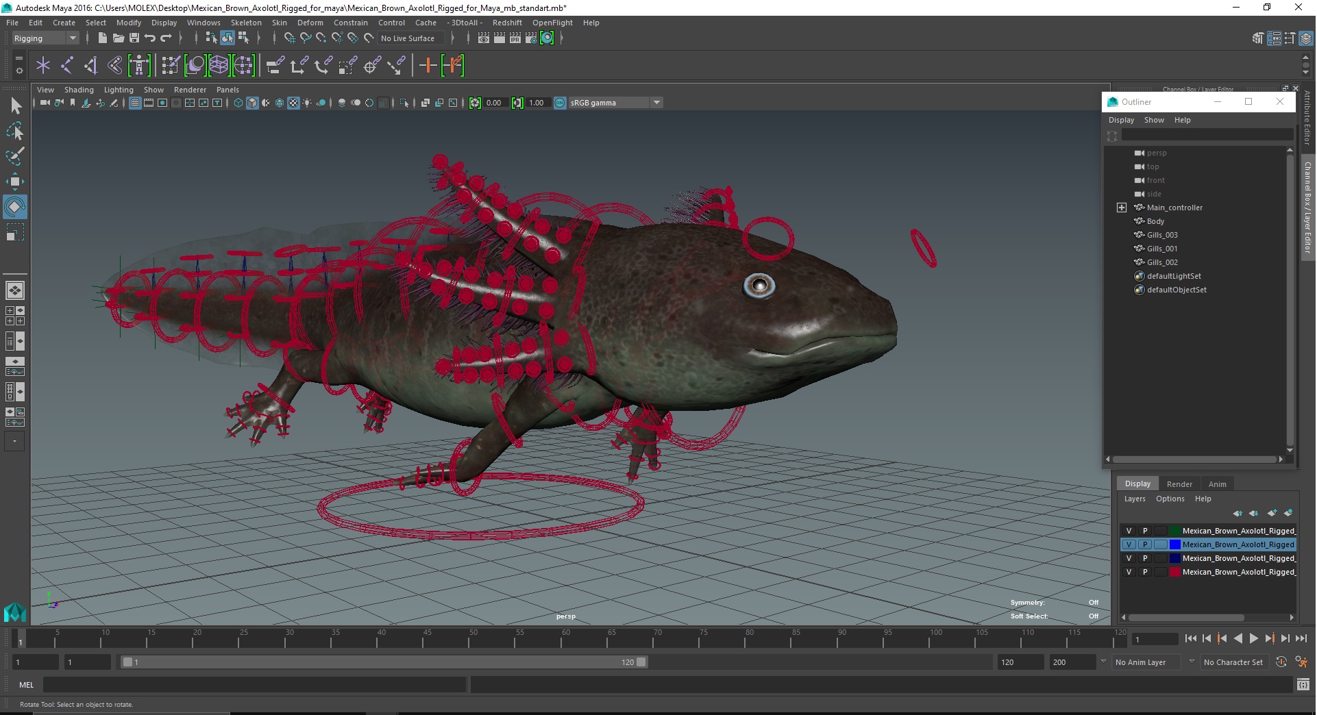 Mexican Brown Axolotl Rigged for Maya 3D