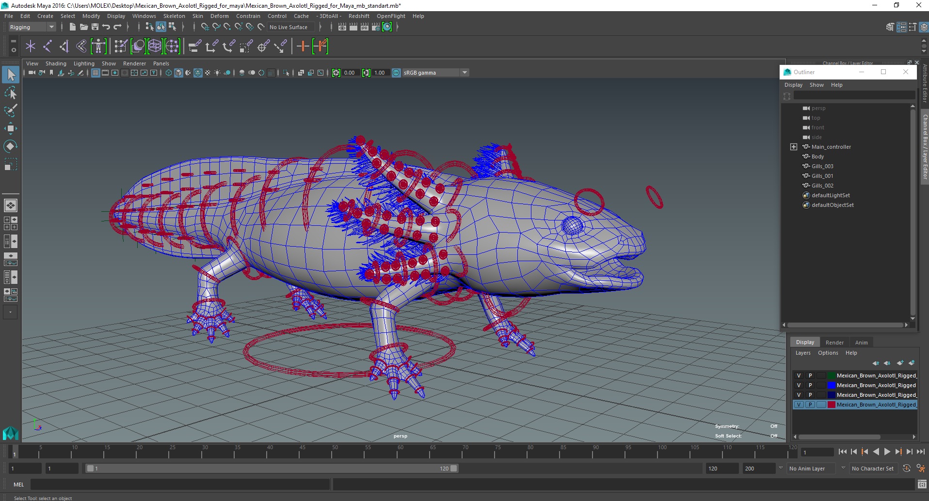 Mexican Brown Axolotl Rigged for Maya 3D