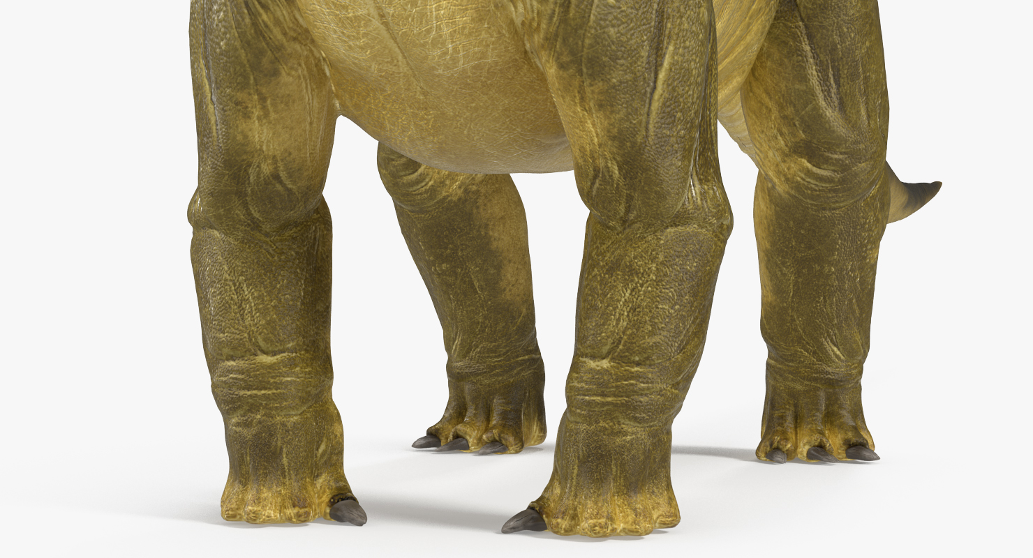 3D model Apatosaurus Dinosaur