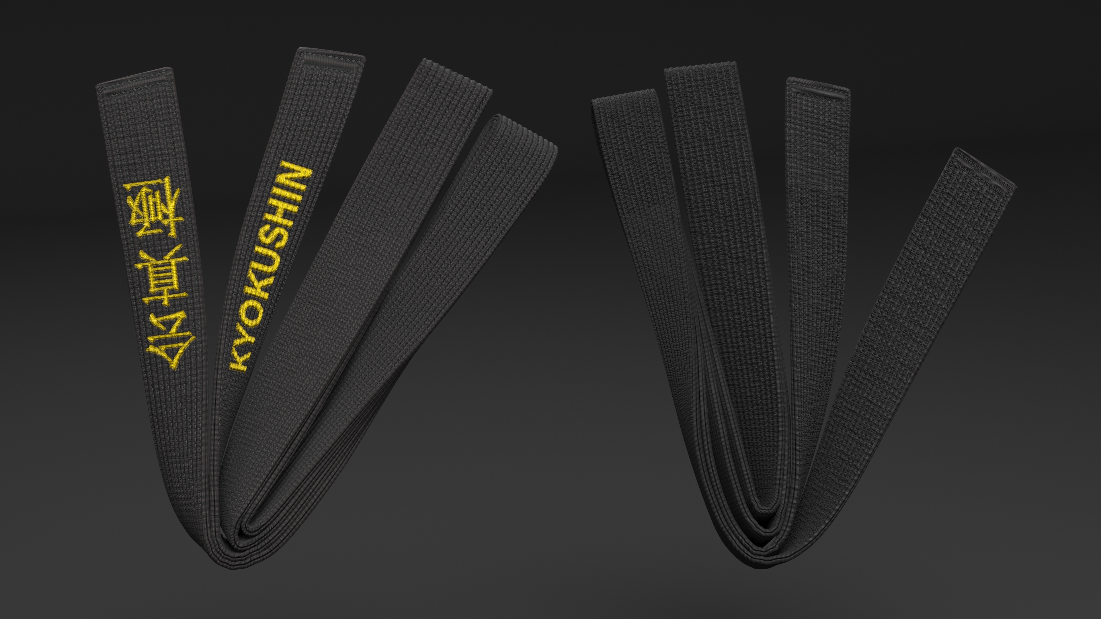 Kyokushin Black Obi Belt 3D model
