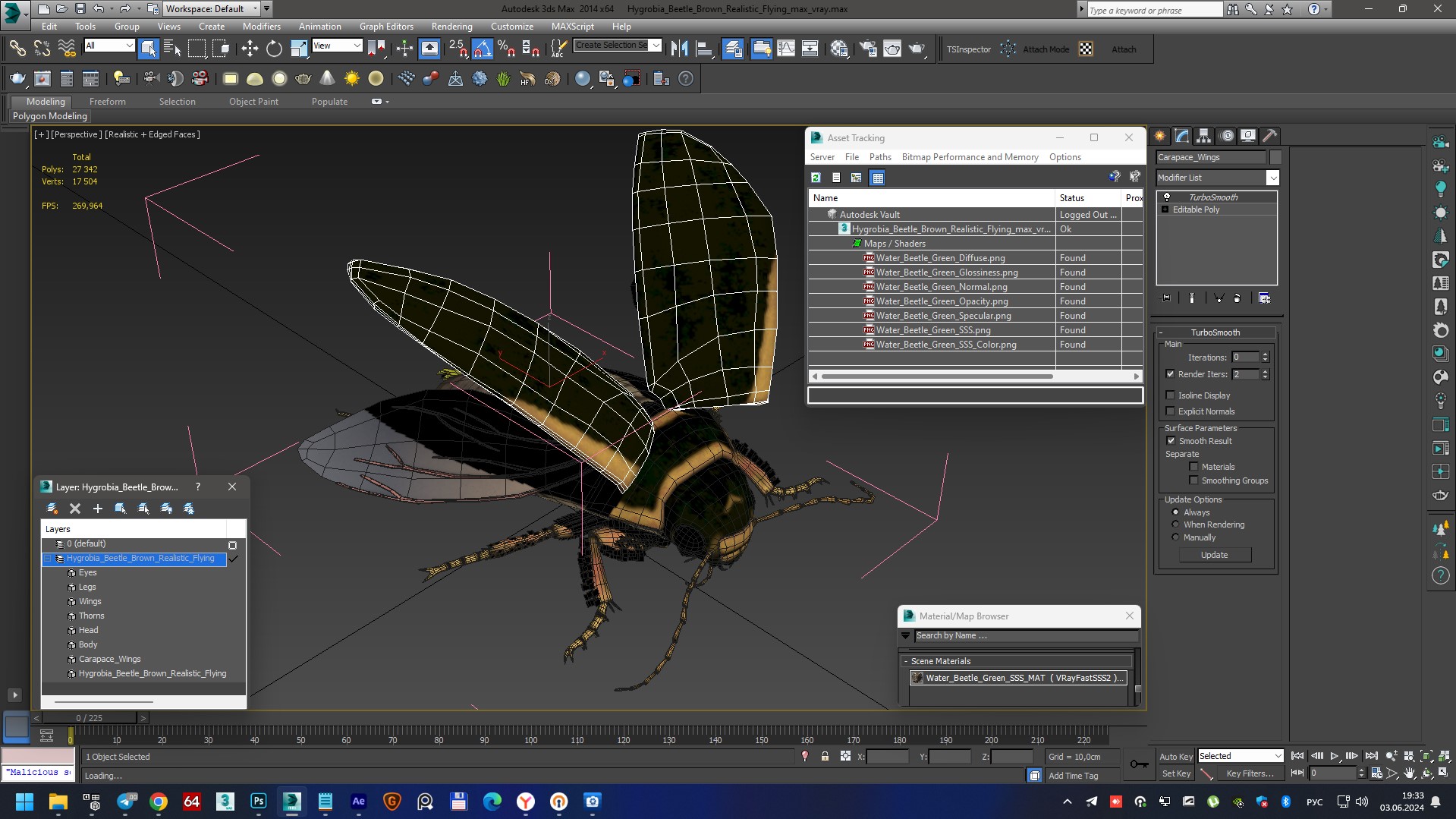 3D Hygrobia Beetle Brown Realistic Flying model